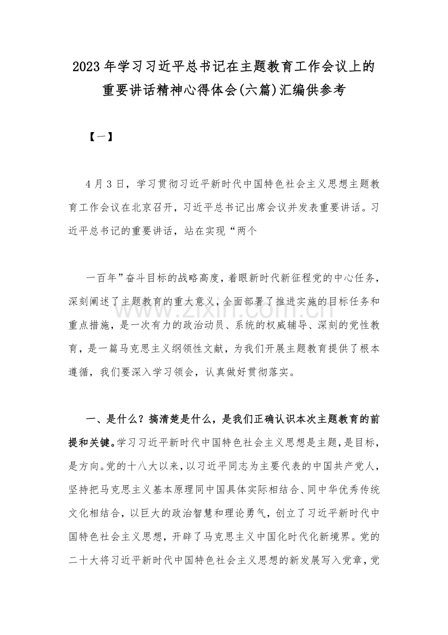 2023年学习习近平总书记在主题教育工作会议上的重要讲话精神心得体会(六篇)汇编供参考.docx_第1页