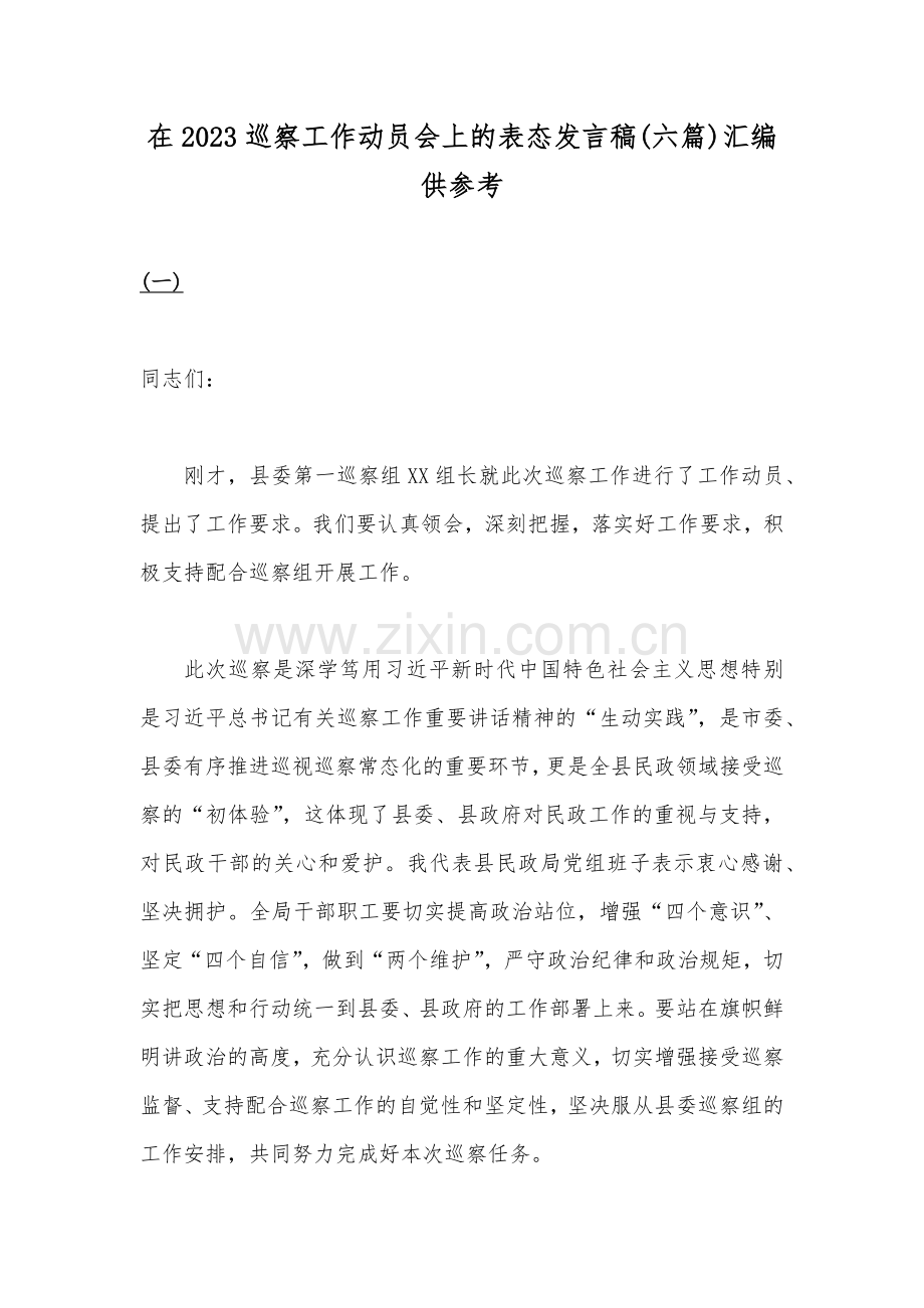 在2023巡察工作动员会上的表态发言稿(六篇)汇编供参考.docx_第1页