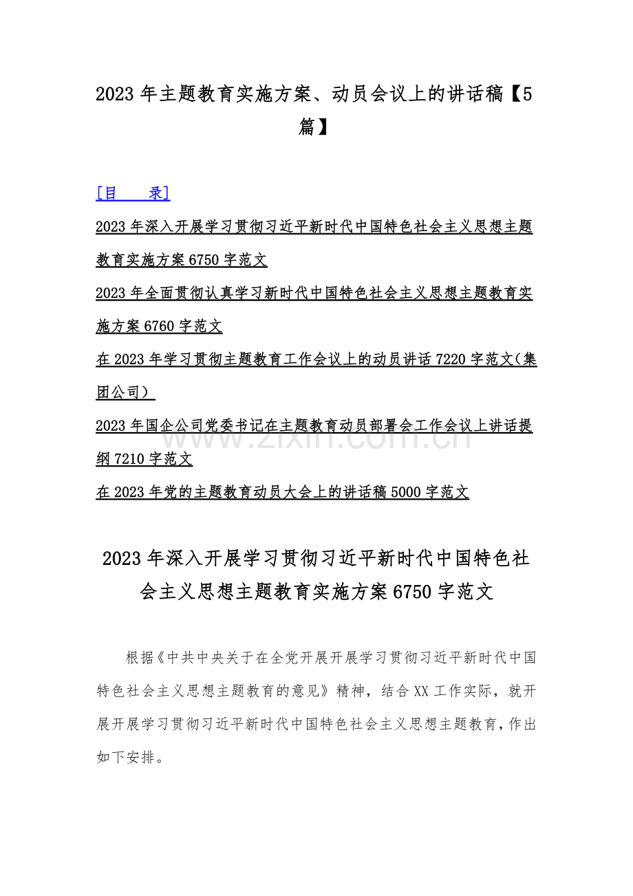 2023年主题教育实施方案、动员会议上的讲话稿【5篇】.docx_第1页