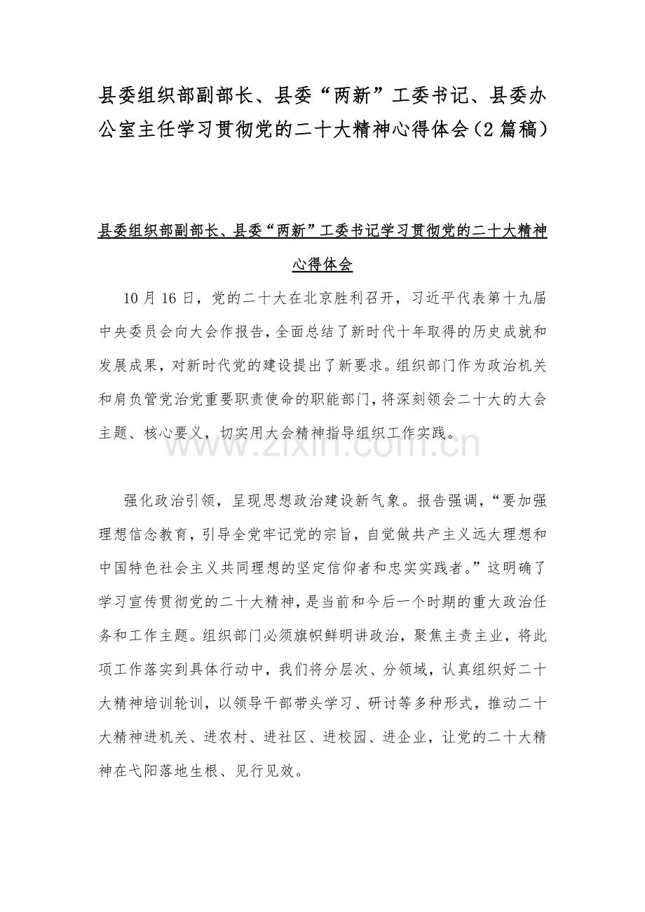 县委组织部副部长、县委“两新”工委书记、县委办公室主任学习贯彻党的二20十大精神心得体会（2篇稿）.docx_第1页