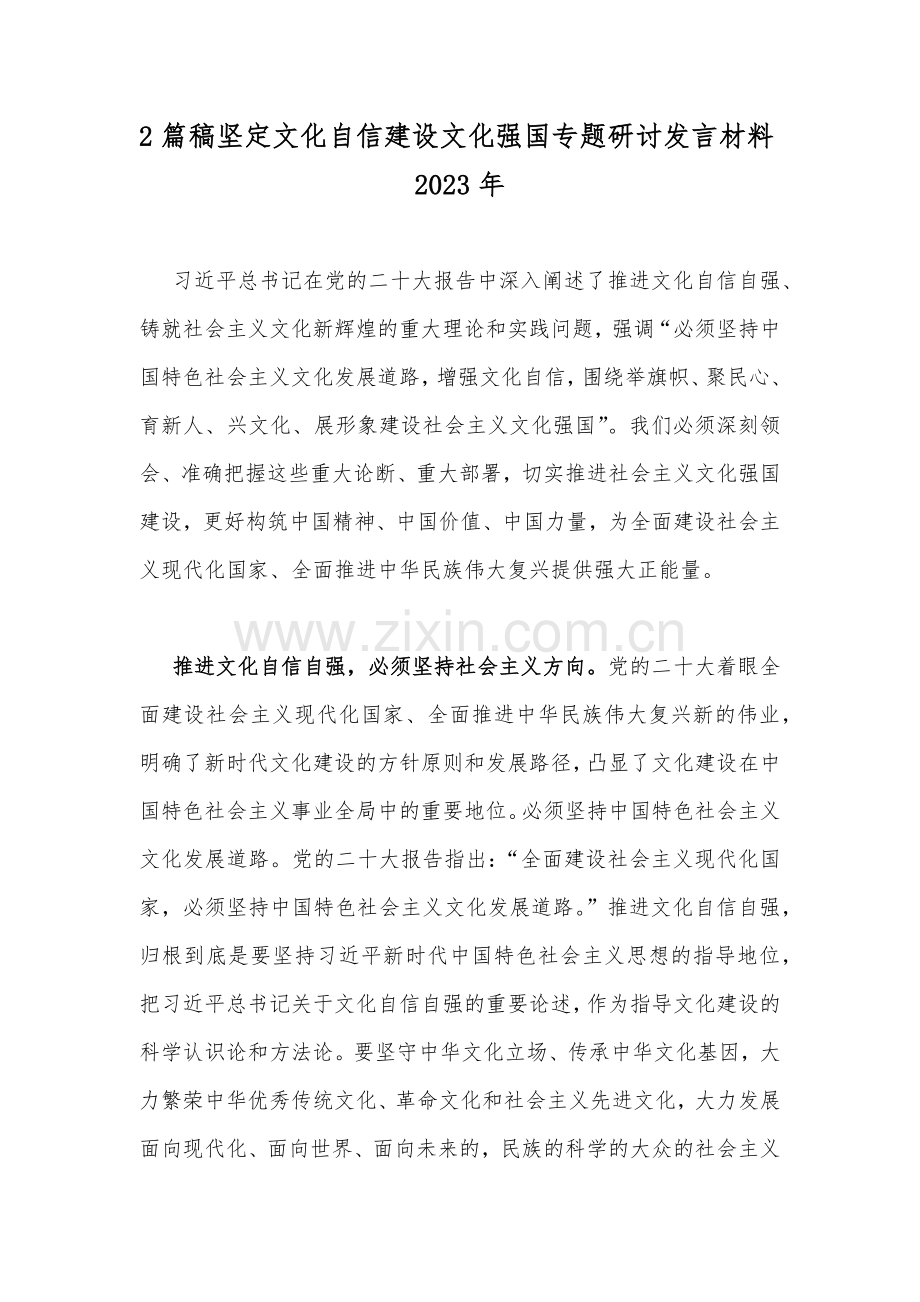 2篇稿坚定文化自信建设文化强国专题研讨发言材料2023年.docx_第1页