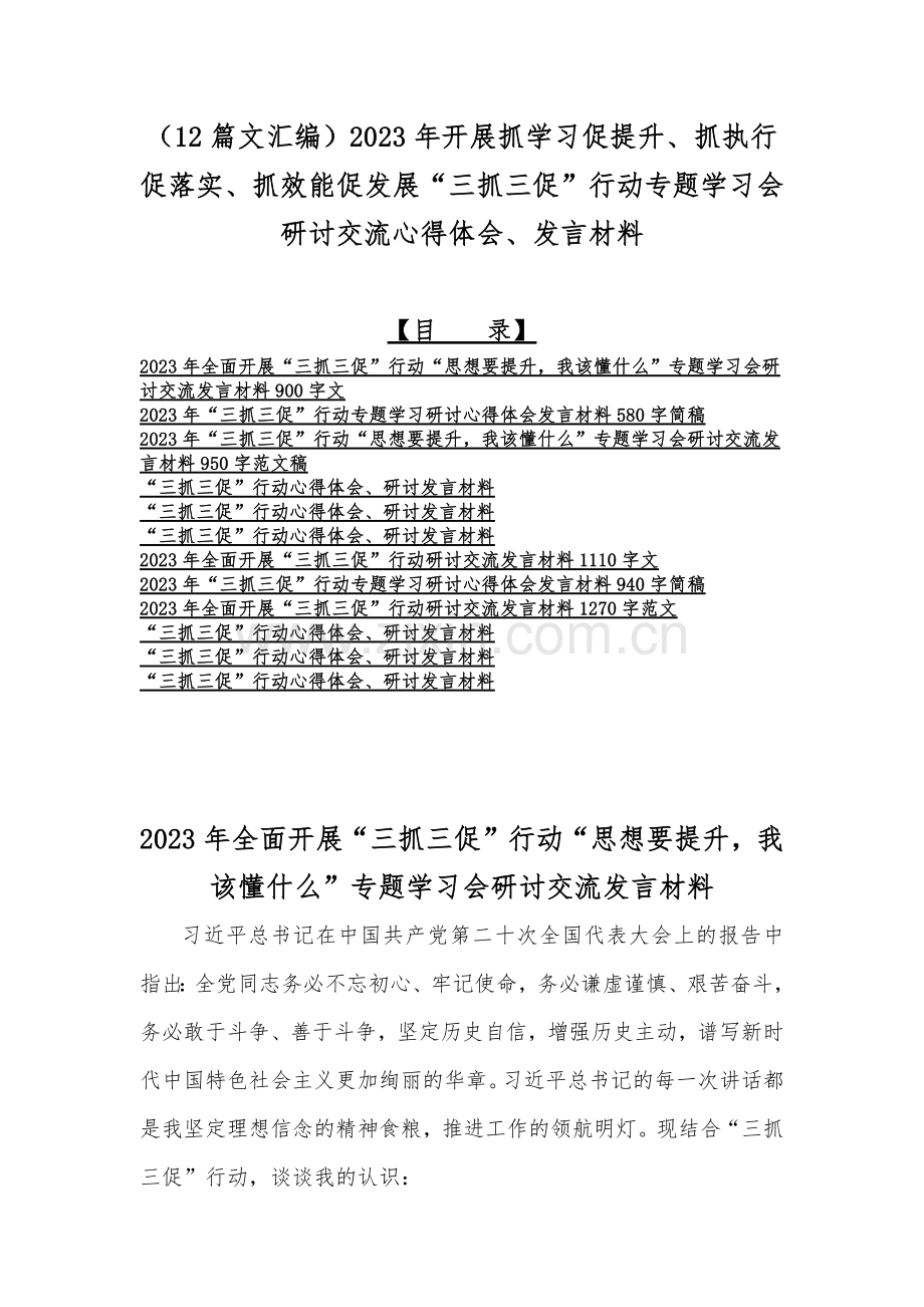 （12篇文汇编）2023年开展抓学习促提升、抓执行促落实、抓效能促发展“三抓三促”行动专题学习会研讨交流心得体会、发言材料.docx_第1页