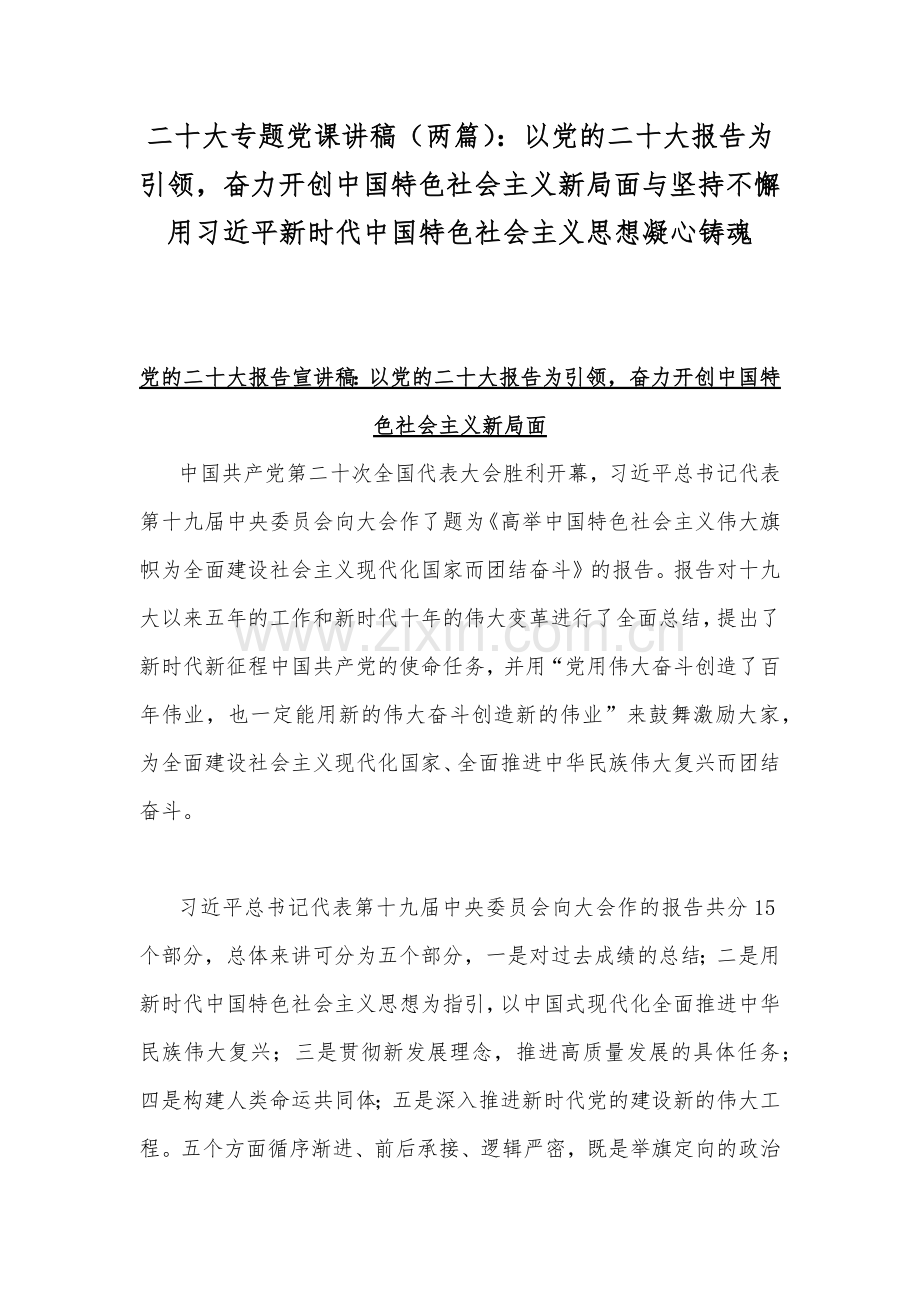 二20十大专题党课讲稿（两篇）：以党的二20十大报告为引领奋力开创中国特色社会主义新局面与坚持不懈用习近平新时代中国特色社会主义思想凝心铸魂.docx_第1页