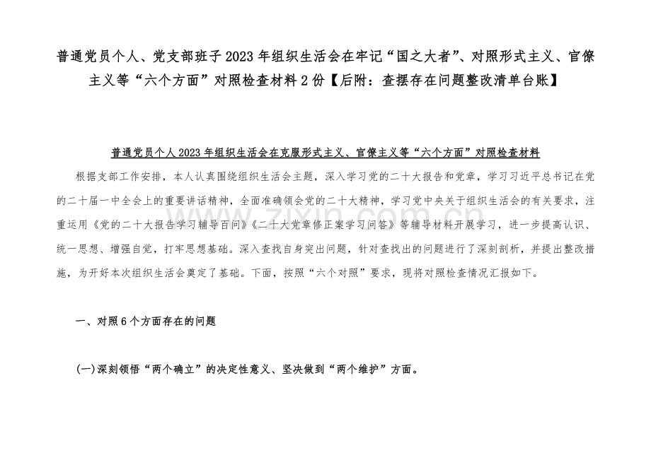 普通党员个人、党支部班子2023年组织生活会在牢记“国之大者”、对照形式主义、官僚主义等“六个方面”对照检查材料2份【后附：查摆存在问题整改清单台账】.docx_第1页