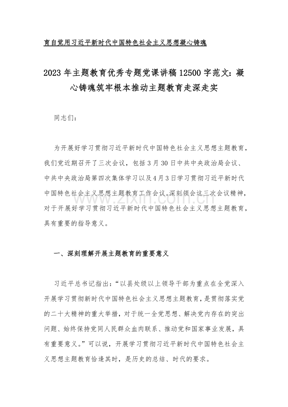 10篇文：2023年主题教育优秀专题党课学习讲稿.docx_第2页