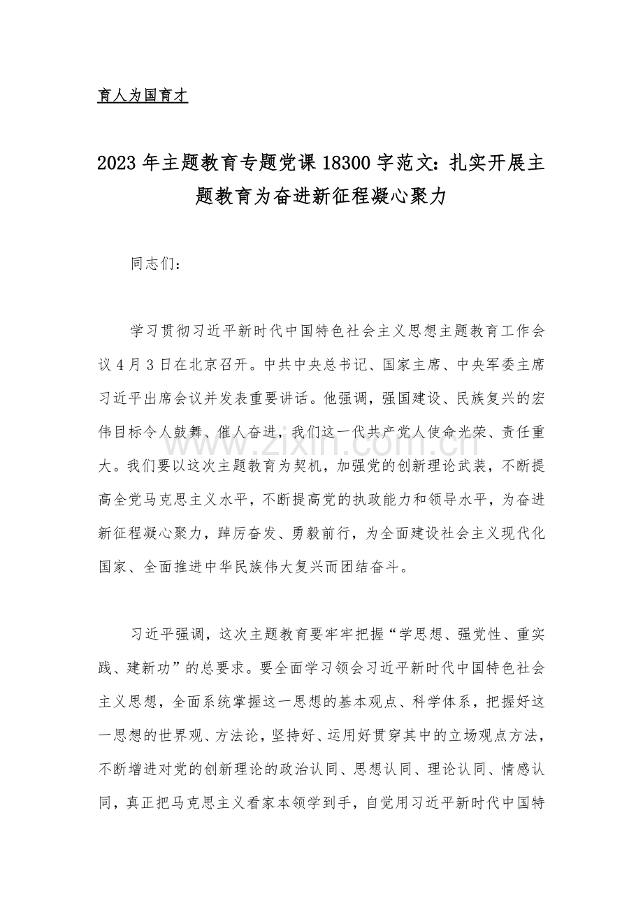 10篇：2023年主题教育优秀专题党课讲稿、工作会议上的讲话提纲【汇编供参考】.docx_第2页