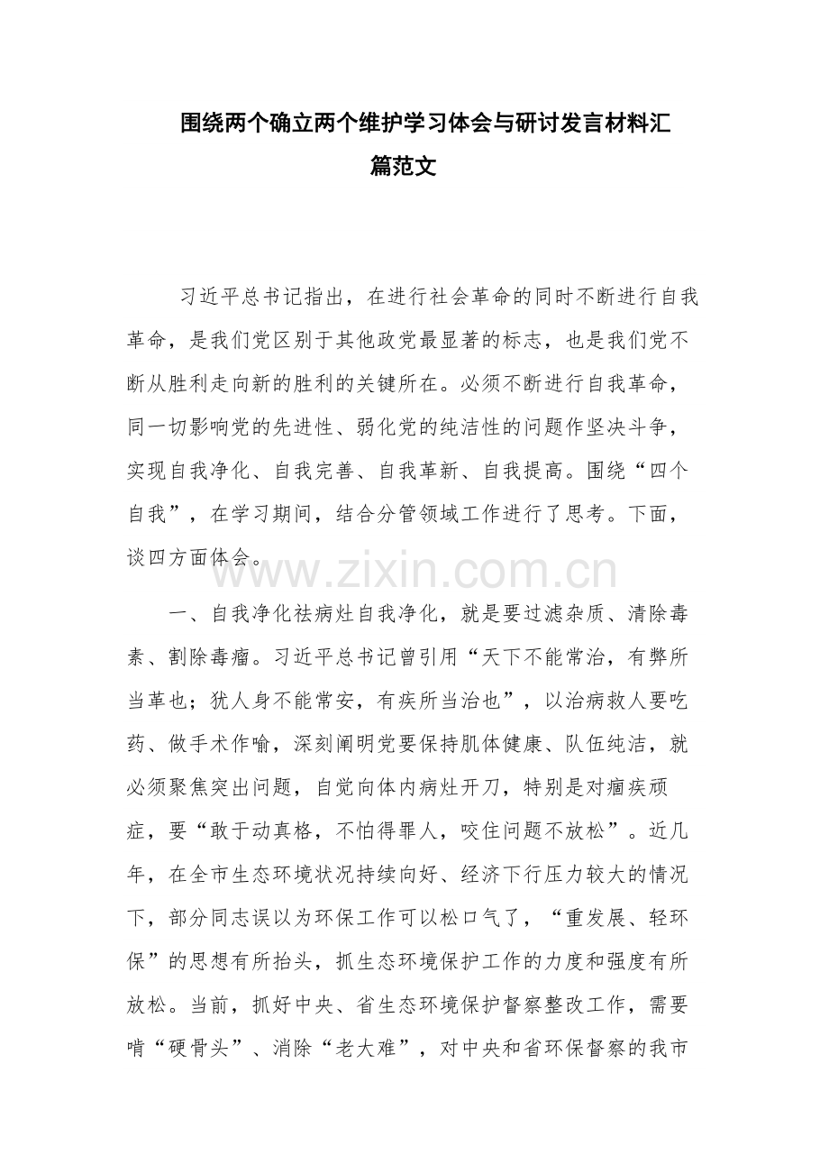 围绕两个确立两个维护学习体会与研讨发言材料汇篇范文.docx_第1页