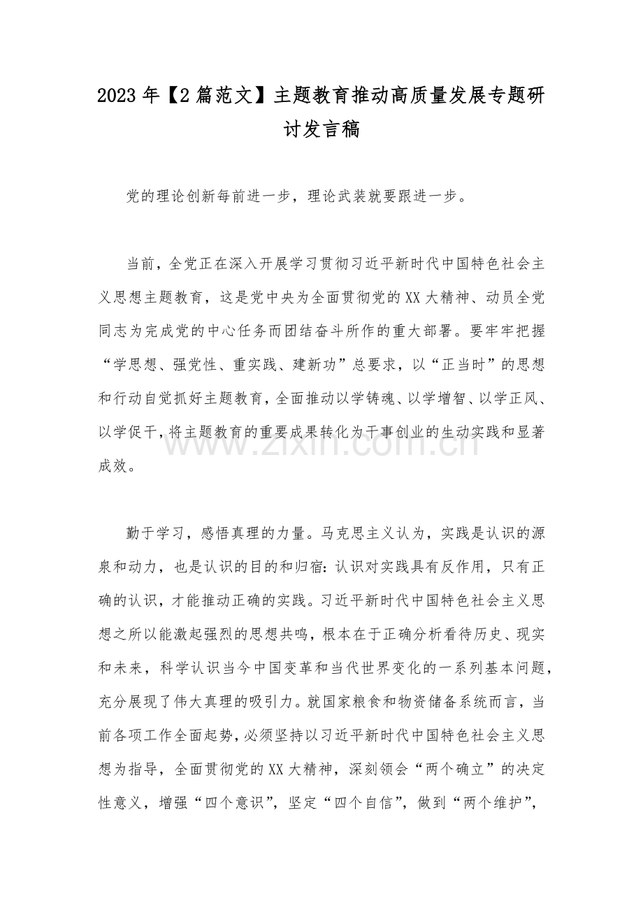 2023年【2篇范文】主题教育推动高质量发展专题研讨发言稿.docx_第1页