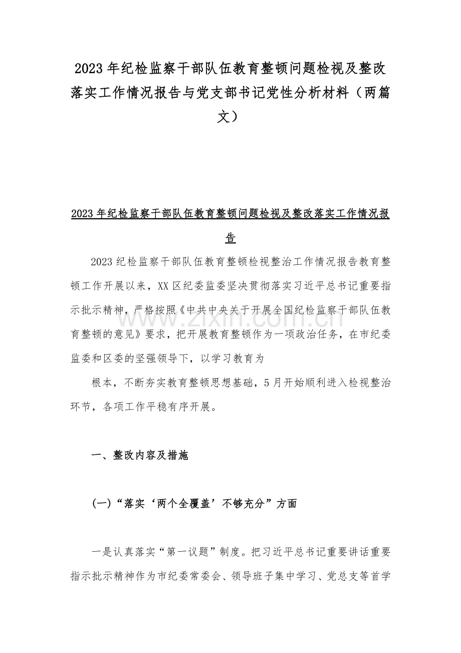 2023年纪检监察干部队伍教育整顿问题检视及整改落实工作情况报告与党支部书记党性分析材料（两篇文）.docx_第1页