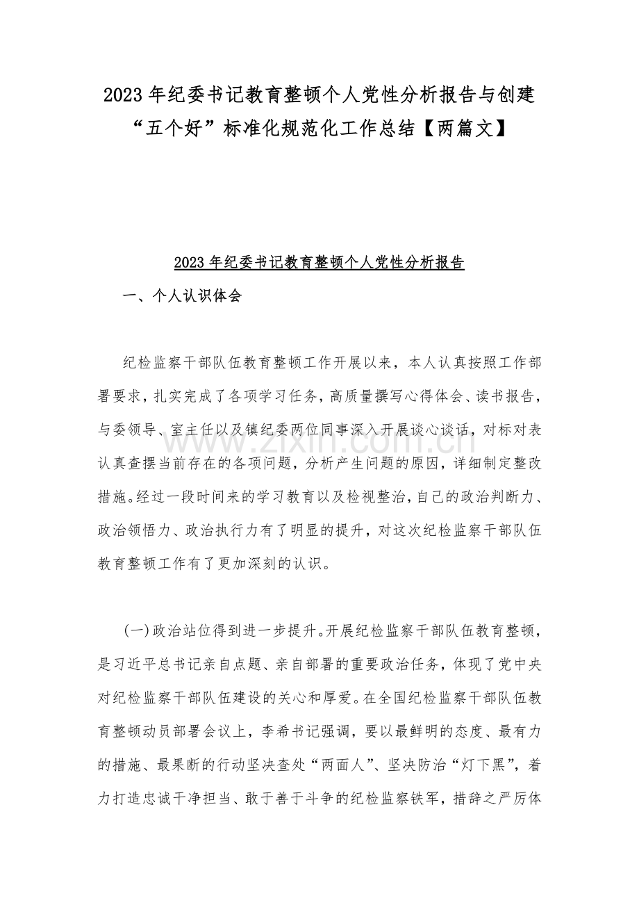 2023年纪委书记教育整顿个人党性分析报告与创建“五个好”标准化规范化工作总结【两篇文】.docx_第1页