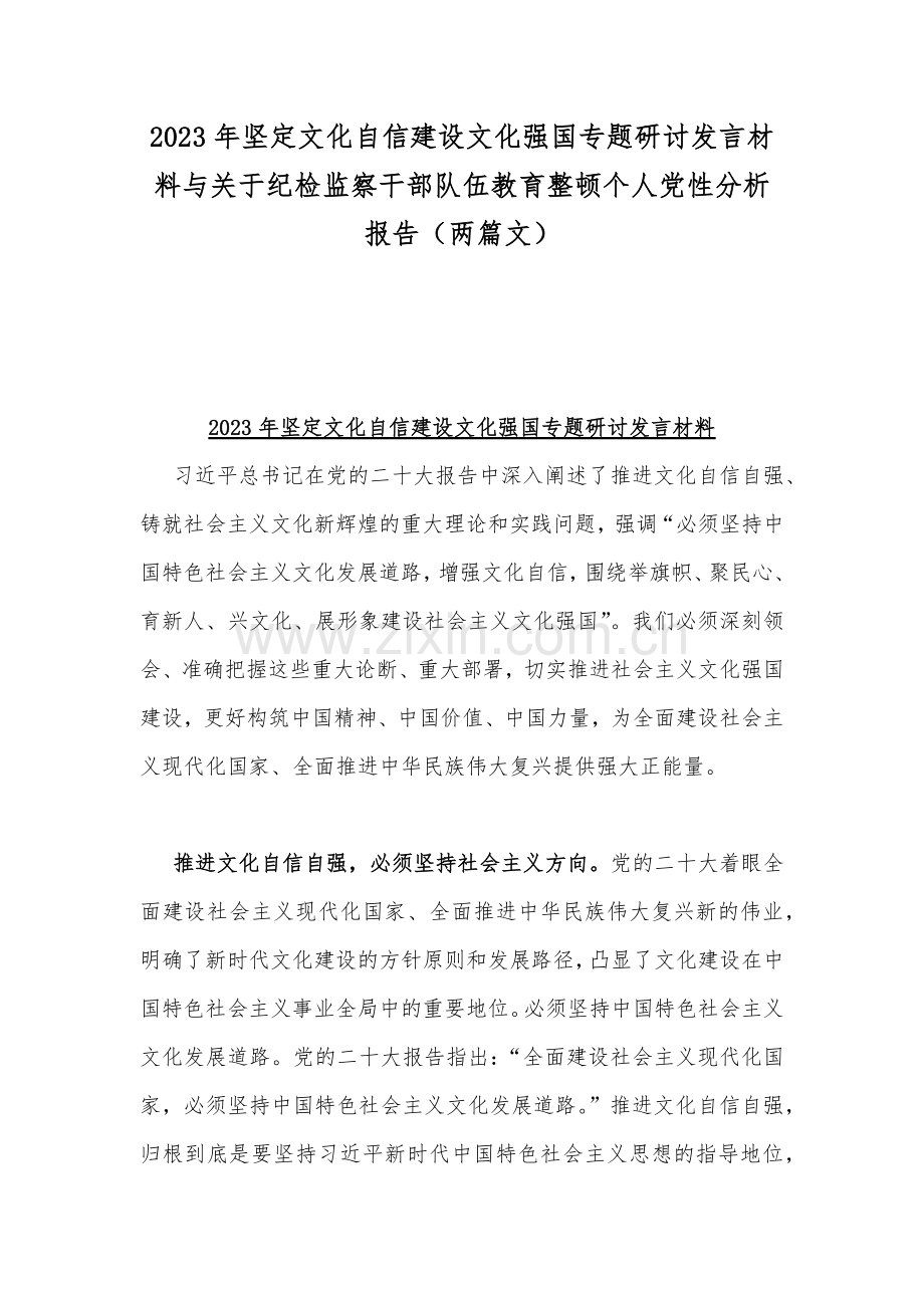 2023年坚定文化自信建设文化强国专题研讨发言材料与关于纪检监察干部队伍教育整顿个人党性分析报告（两篇文）.docx_第1页