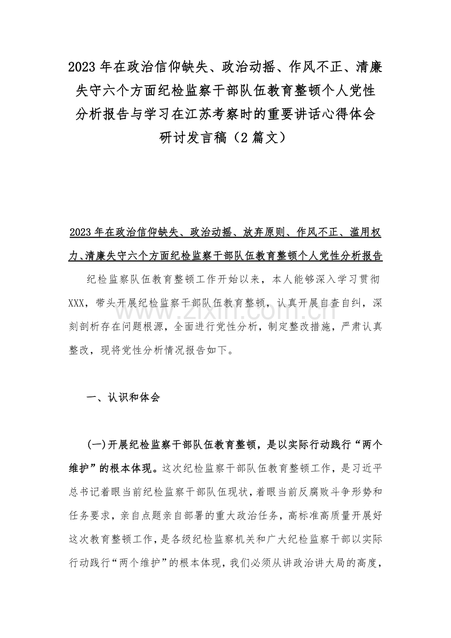 2023年在政治信仰缺失、政治动摇、作风不正、清廉失守六个方面纪检监察干部队伍教育整顿个人党性分析报告与学习在江苏考察时的重要讲话心得体会研讨发言稿（2篇文）.docx_第1页