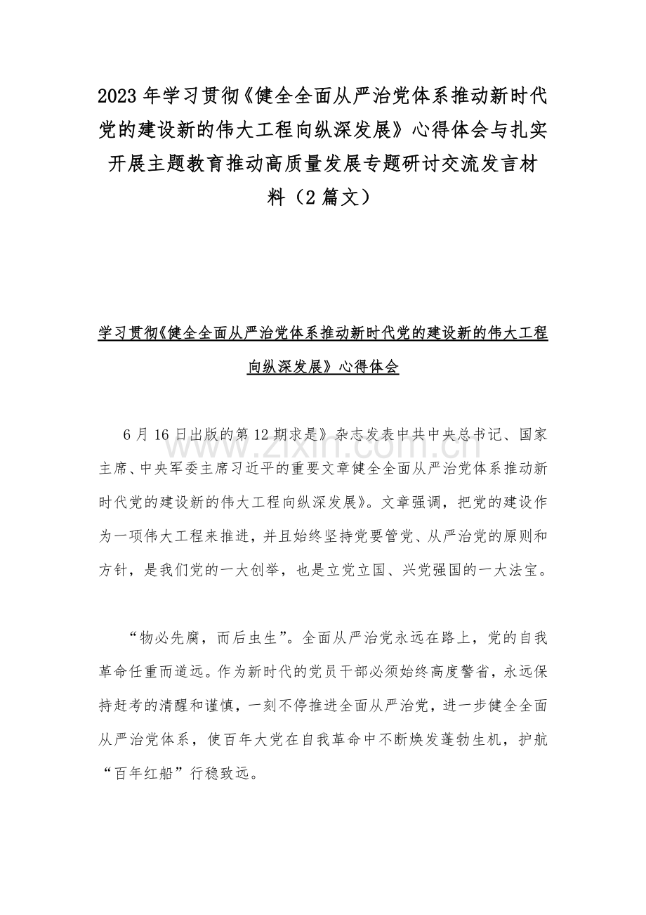 2023年学习贯彻《健全全面从严治党体系推动新时代党的建设新的伟大工程向纵深发展》心得体会与扎实开展主题教育推动高质量发展专题研讨交流发言材料（2篇文）.docx_第1页