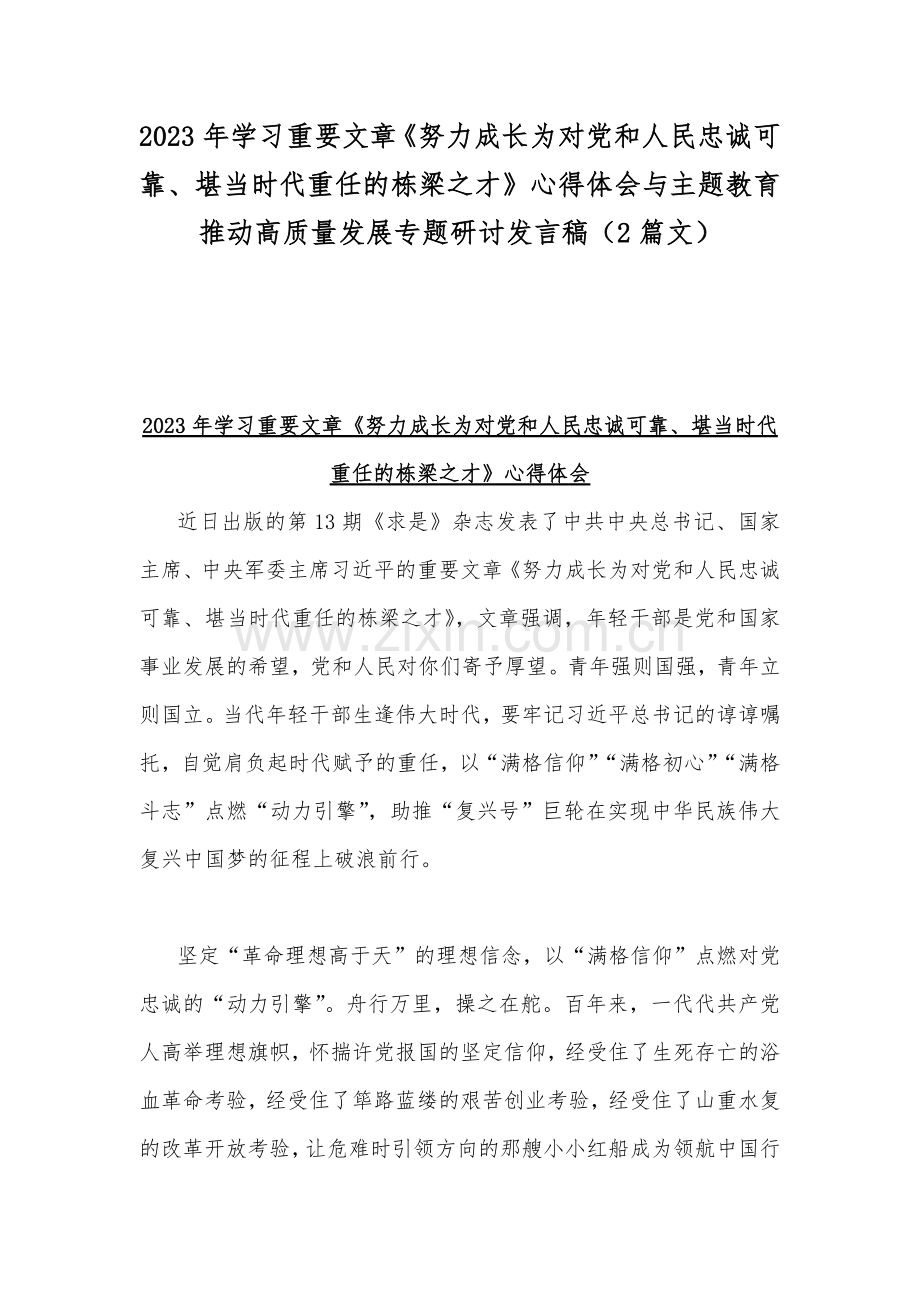 2023年学习重要文章《努力成长为对党和人民忠诚可靠、堪当时代重任的栋梁之才》心得体会与主题教育推动高质量发展专题研讨发言稿（2篇文）.docx_第1页