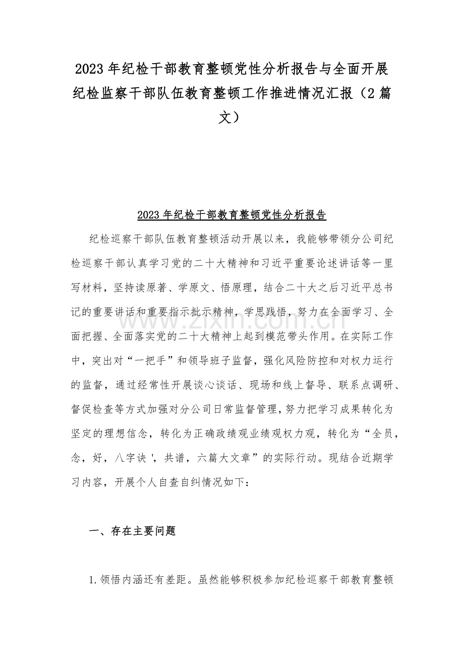 2023年纪检干部教育整顿党性分析报告与全面开展纪检监察干部队伍教育整顿工作推进情况汇报（2篇文）.docx_第1页