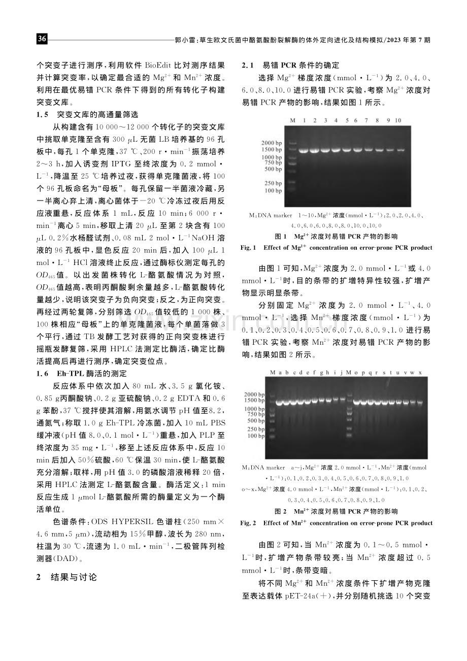 草生欧文氏菌中酪氨酸酚裂解酶的体外定向进化及结构模拟_郭小雷.pdf_第3页