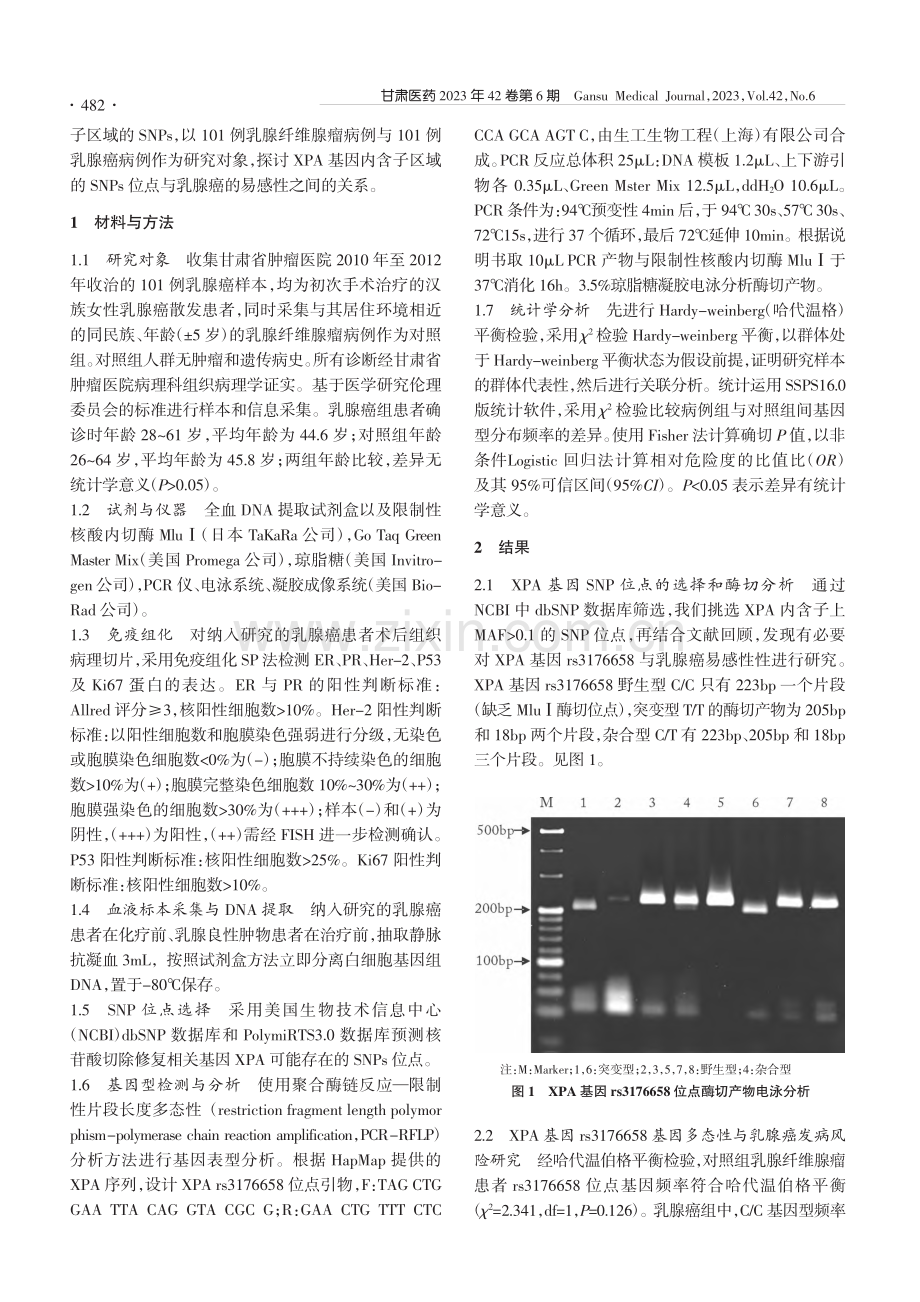 XPA基因内含子区rs31...8多态性与乳腺癌易感性分析_闵建平.pdf_第2页