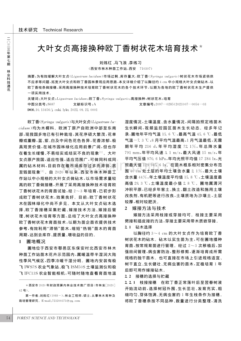 大叶女贞高接换种欧丁香树状花木培育技术_刘炼红.pdf_第1页