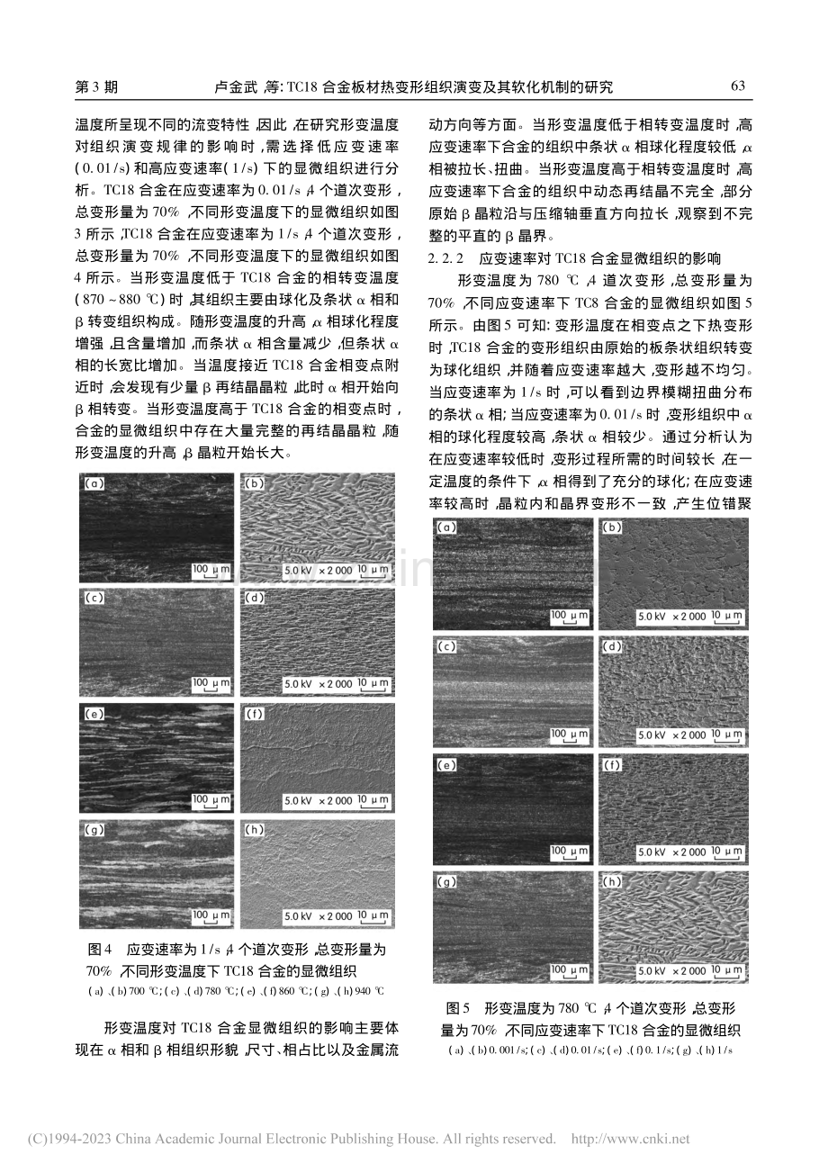 TC18合金板材热变形组织演变及其软化机制的研究_卢金武.pdf_第3页