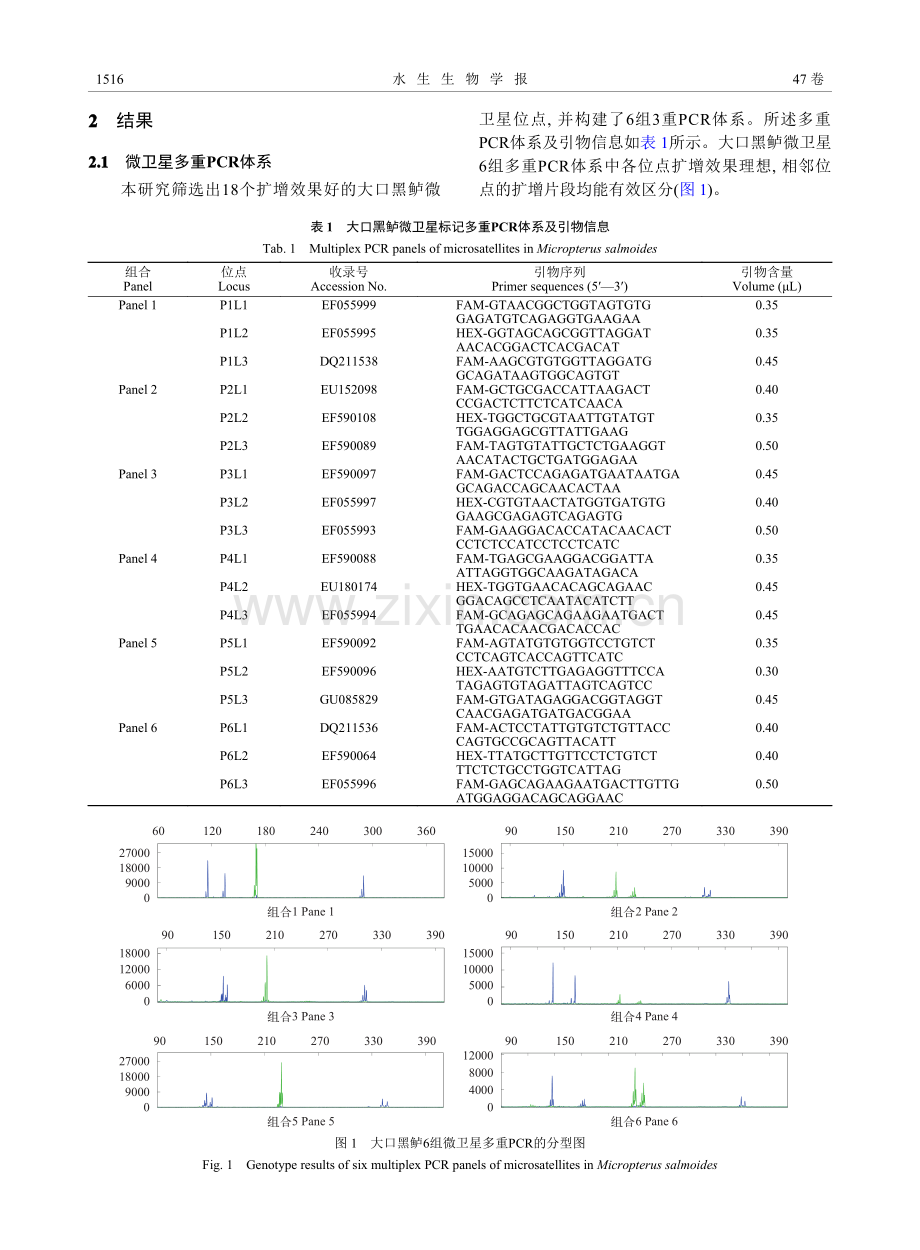 大口黑鲈微卫星多重PCR体系及3个群体的遗传分析_傅建军.pdf_第3页