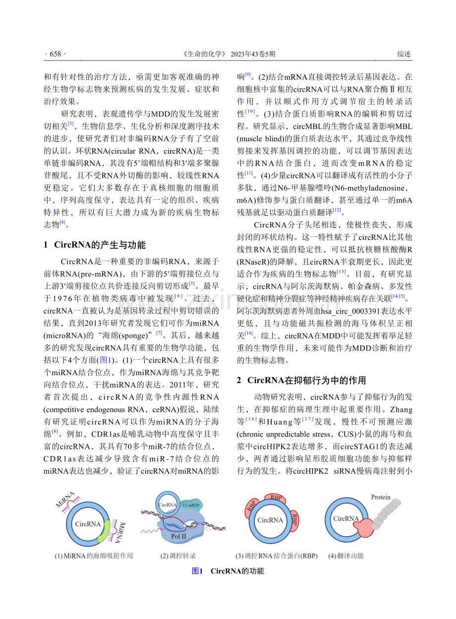 CircRNA在抑郁症中的作用_丁宇红.pdf_第2页