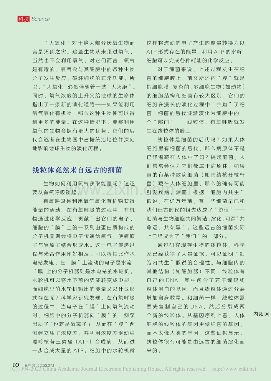 8-12 亿万年前的生命“氧”成记_杨冬.pdf_第3页