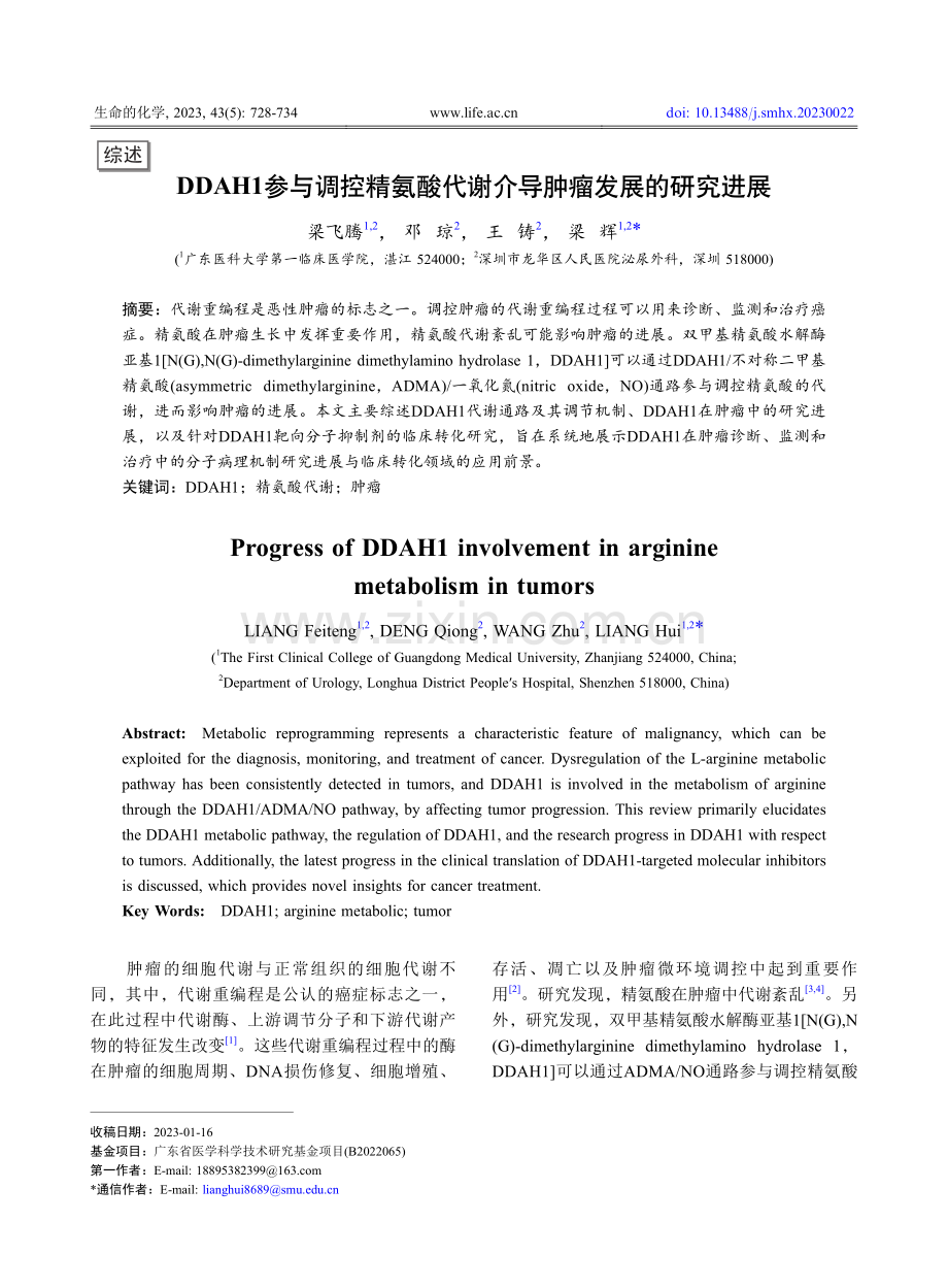 DDAH1参与调控精氨酸代谢介导肿瘤发展的研究进展_梁飞腾.pdf_第1页