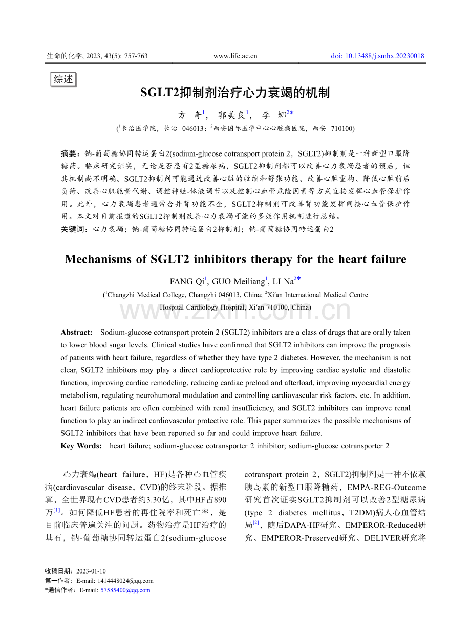 SGLT2抑制剂治疗心力衰竭的机制_方奇.pdf_第1页