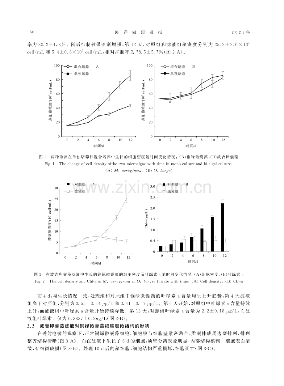 波吉卵囊藻对铜绿微囊藻的化感作用研究_王孝谦.pdf_第3页
