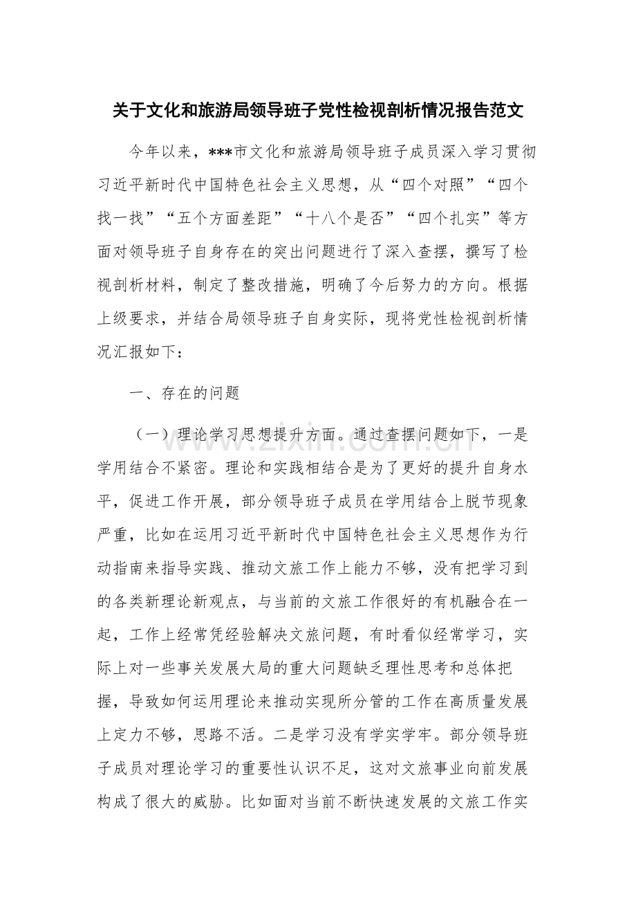 关于文化和旅游局领导班子党性检视剖析情况报告范文.docx_第1页