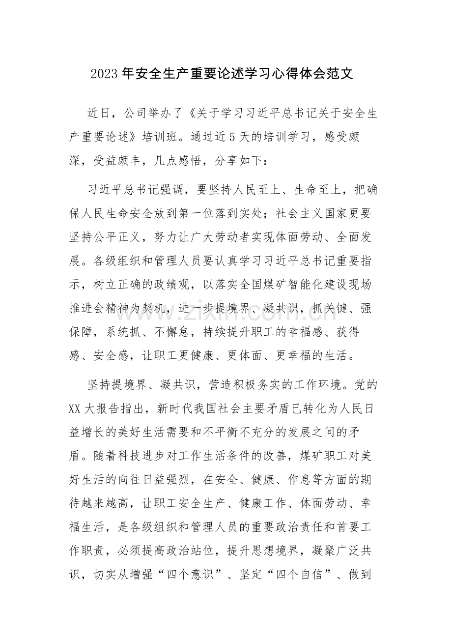 2023年安全生产重要论述学习心得体会范文.docx_第1页