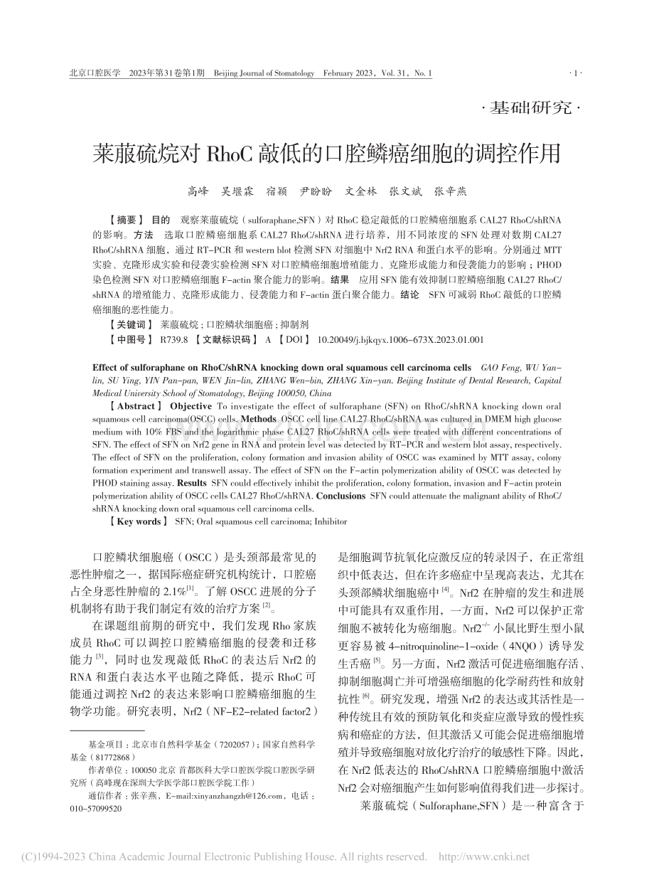 莱菔硫烷对RhoC敲低的口腔鳞癌细胞的调控作用_高峰.pdf_第1页