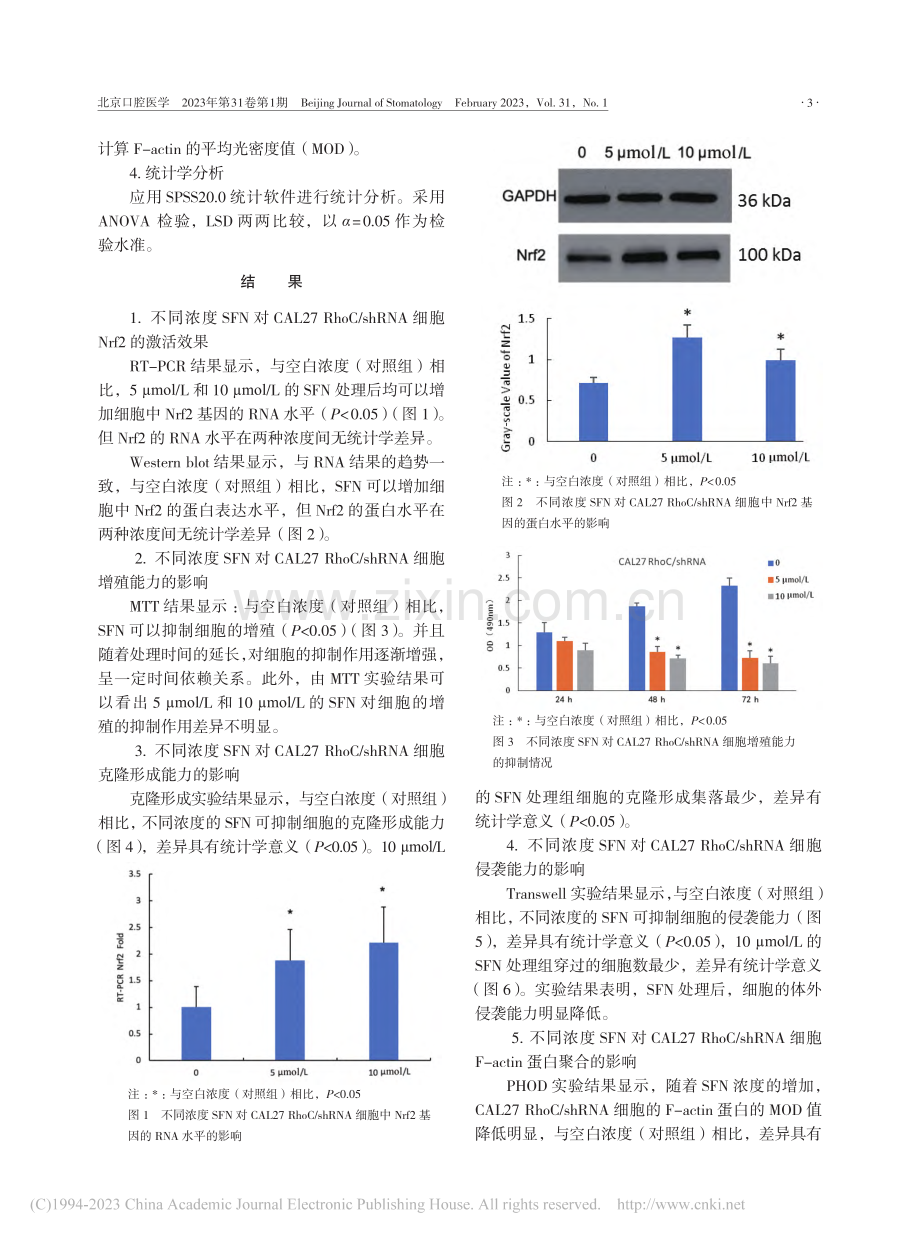 莱菔硫烷对RhoC敲低的口腔鳞癌细胞的调控作用_高峰.pdf_第3页