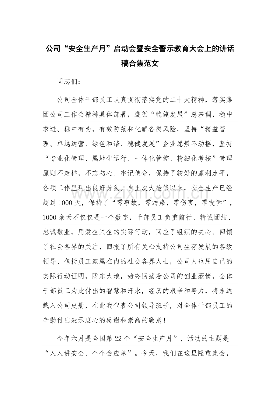 公司“安全生产月”启动会暨安全警示教育大会上的讲话稿合集范文.docx_第1页