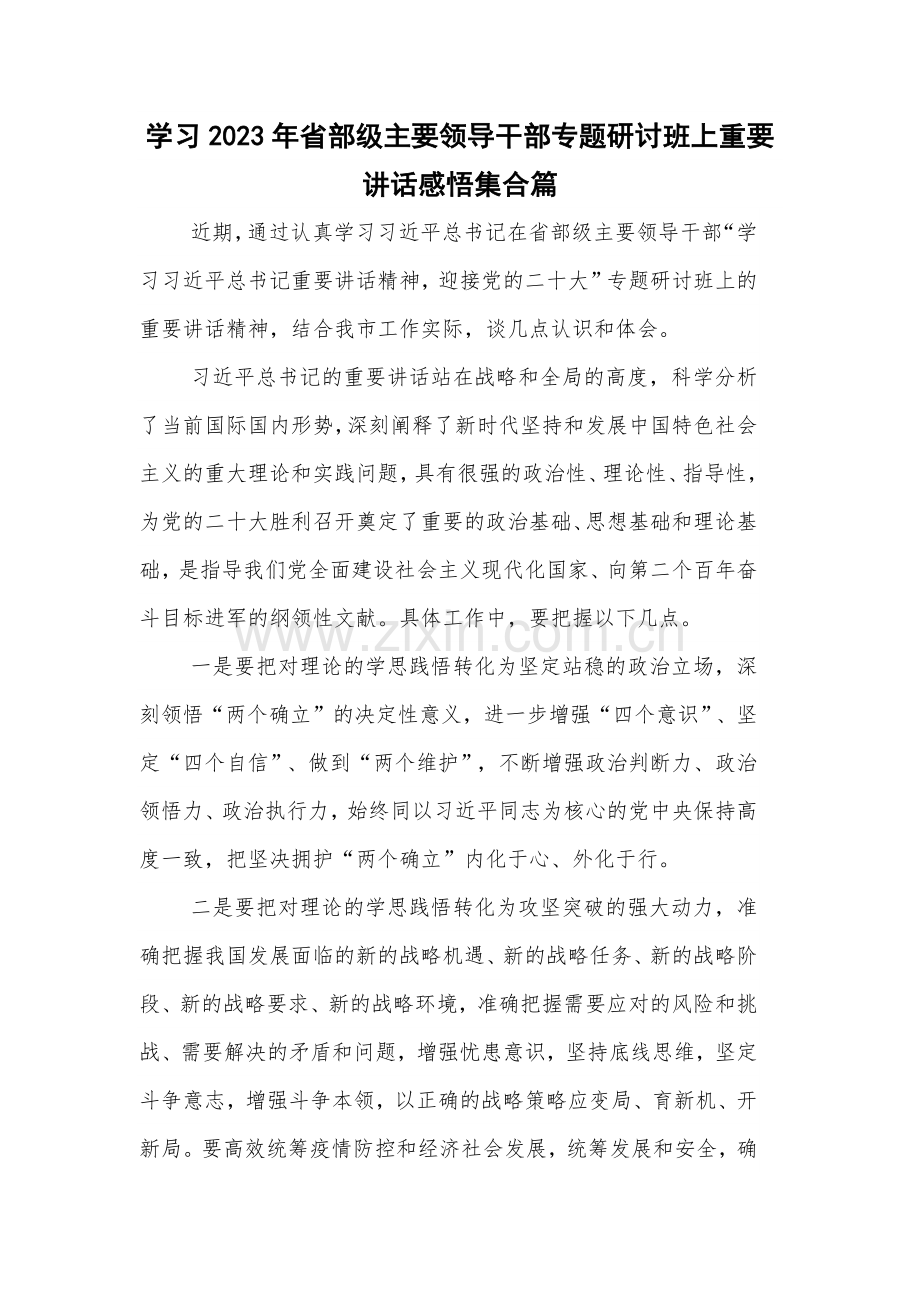 学习2023年省部级主要领导干部专题研讨班上重要讲话感悟集合篇.docx_第1页