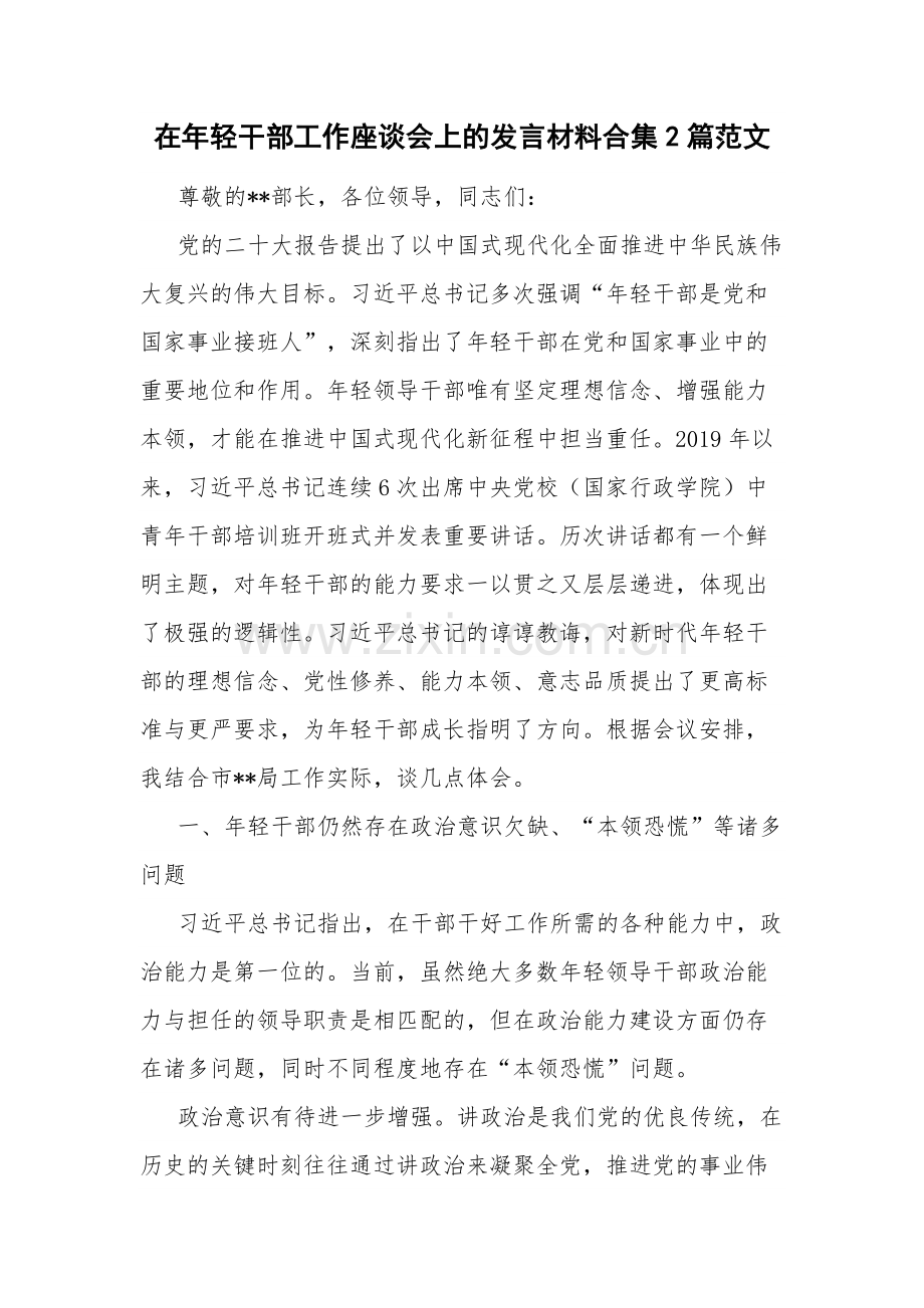 在年轻干部工作座谈会上的发言材料合集2篇范文.docx_第1页