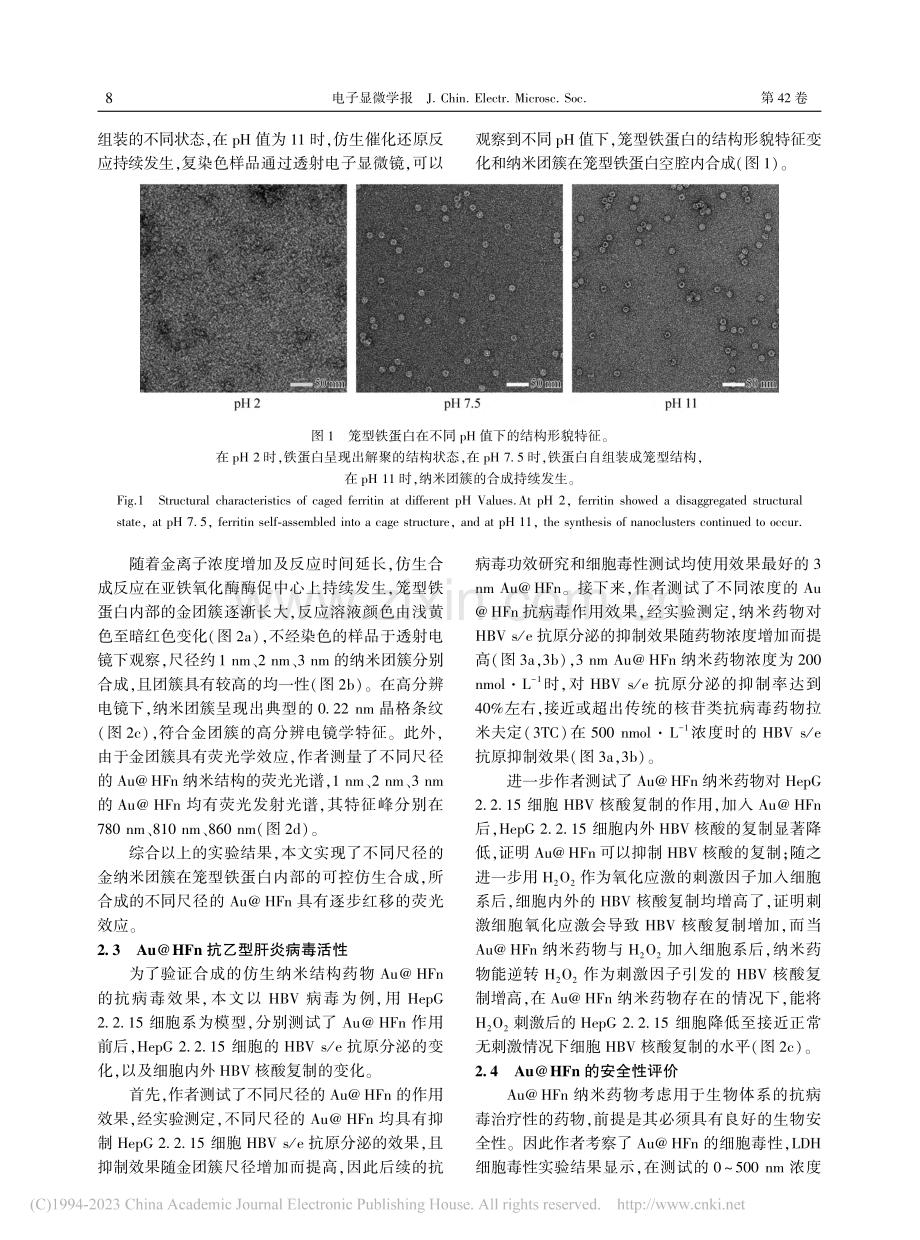 笼型蛋白仿生纳米结构构建及抗病毒研究_袁嫕.pdf_第3页