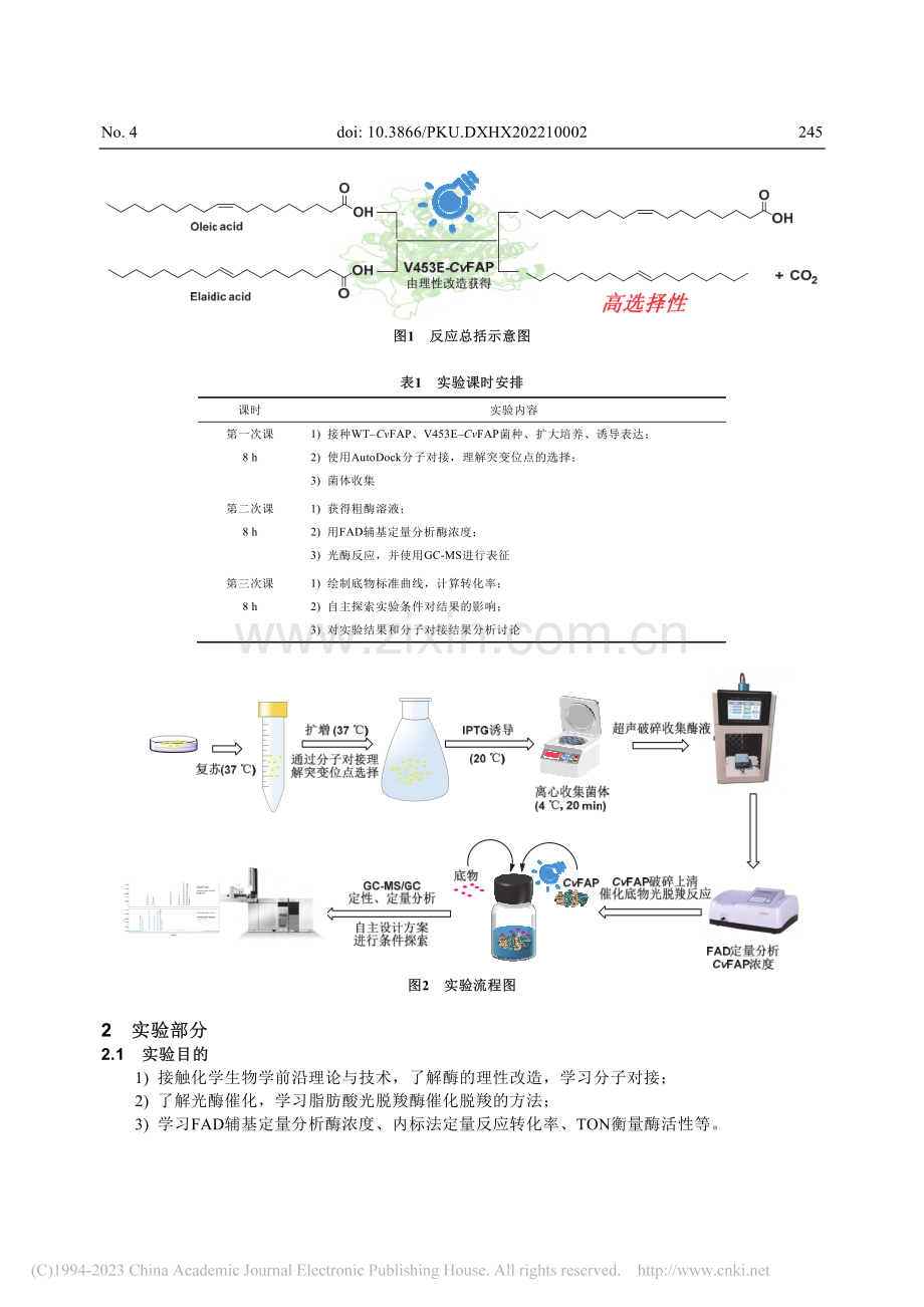 理性改造光脱羧酶并用于反式脂肪酸选择性脱羧反应_曾森海.pdf_第3页