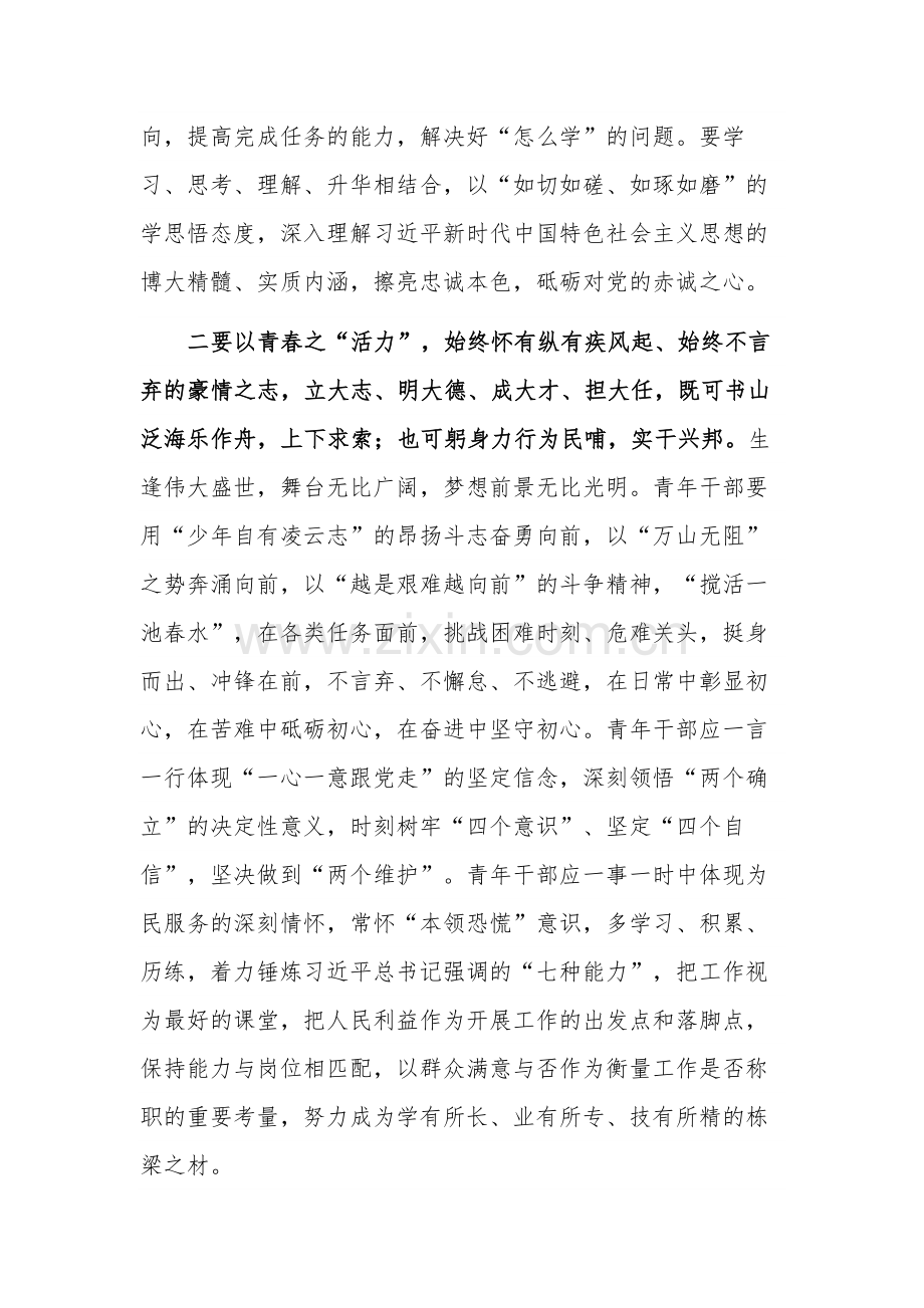 青年干部2023在主题教育专题读书班上交流发言稿合集2篇.docx_第3页