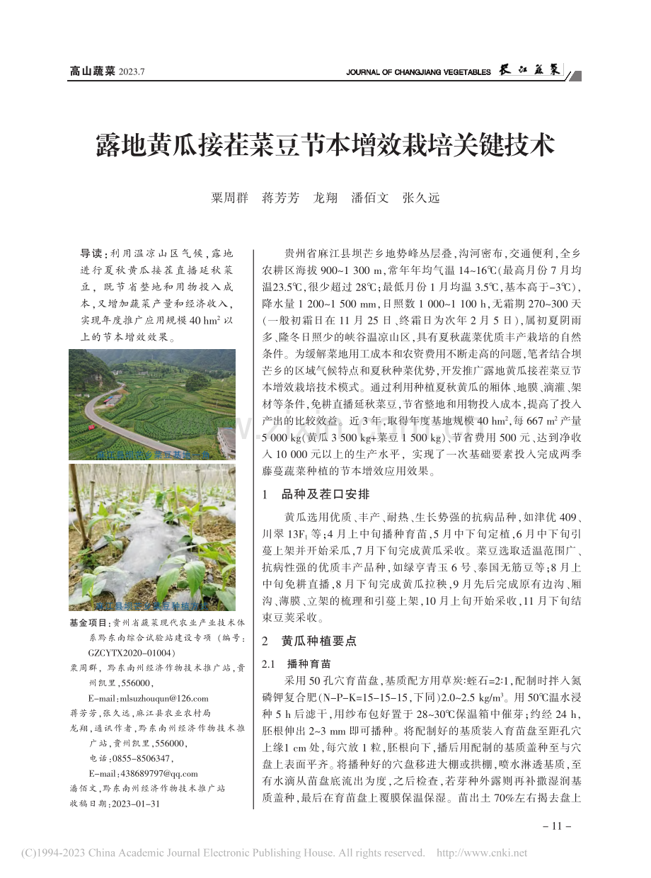 露地黄瓜接茬菜豆节本增效栽培关键技术_粟周群.pdf_第1页