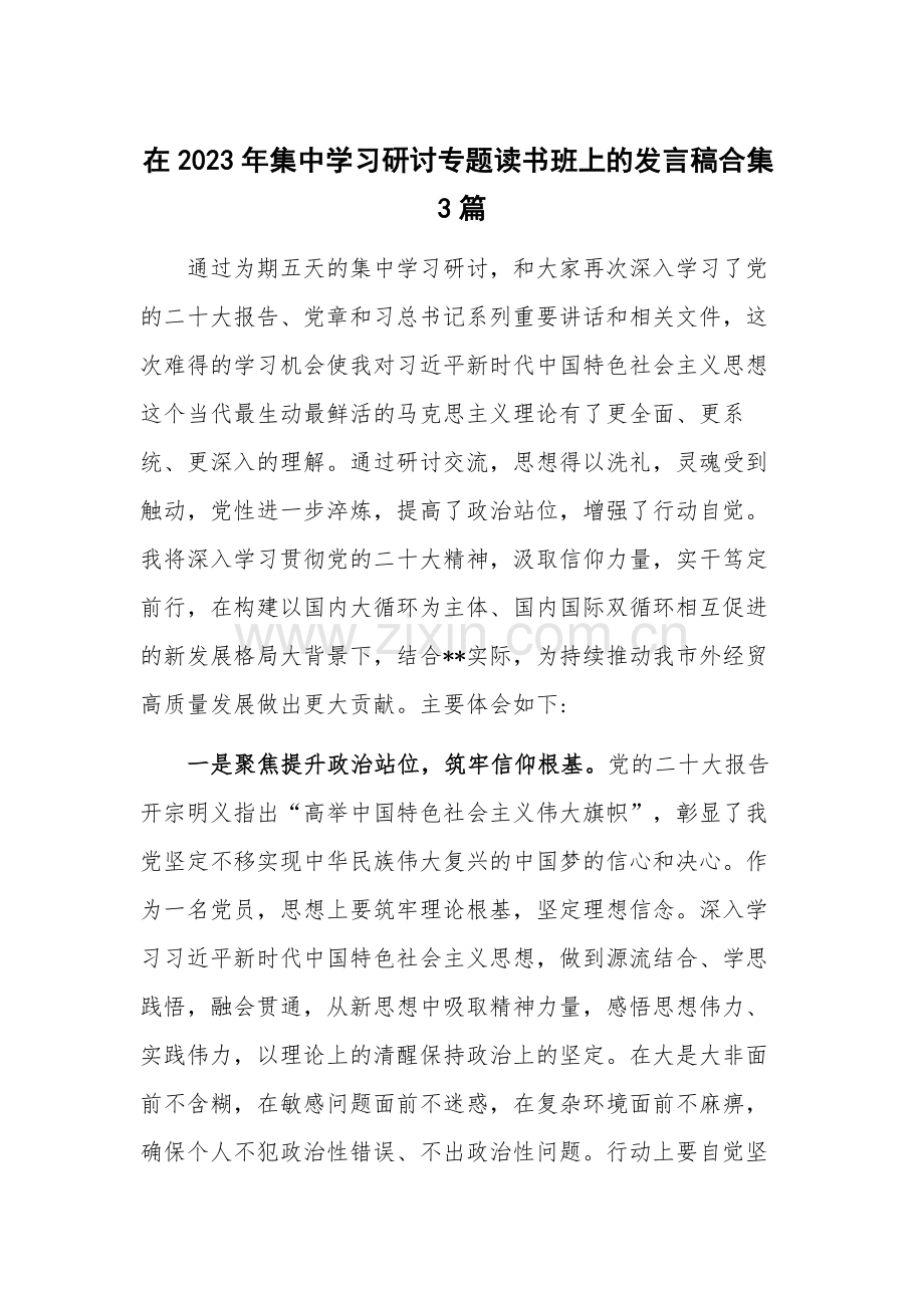 在2023年集中学习研讨专题读书班上的发言稿合集3篇.docx_第1页