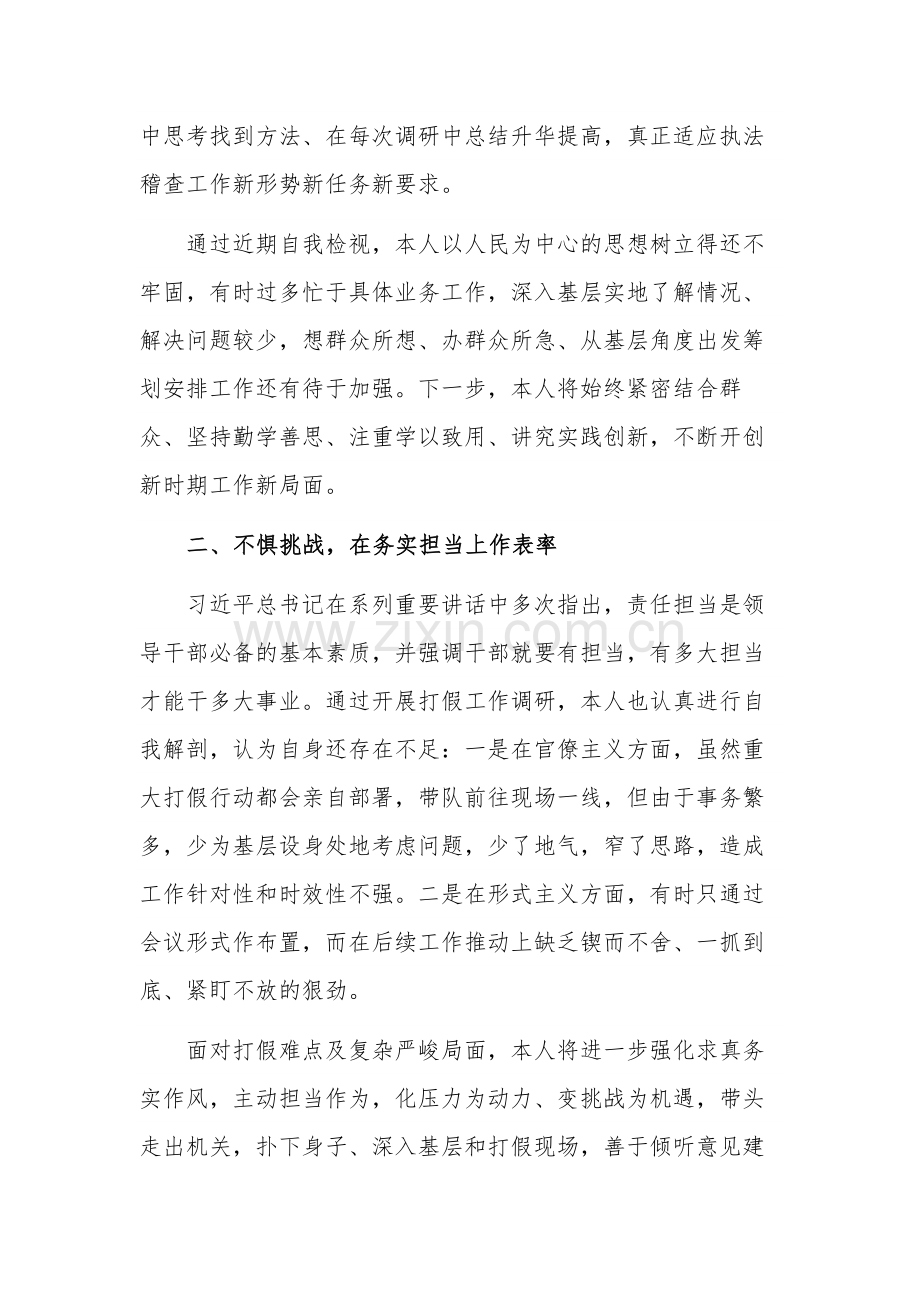 主题教育专题研讨发言材料与党课讲稿合集2篇.docx_第2页