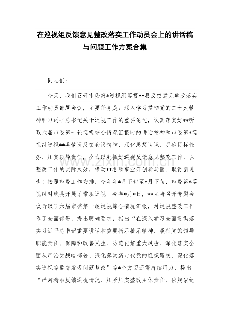 在巡视组反馈意见整改落实工作动员会上的讲话稿与问题工作方案合集.docx_第1页