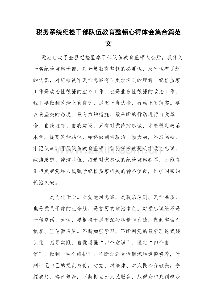 税务系统纪检干部队伍教育整顿心得体会集合篇范文.docx_第1页