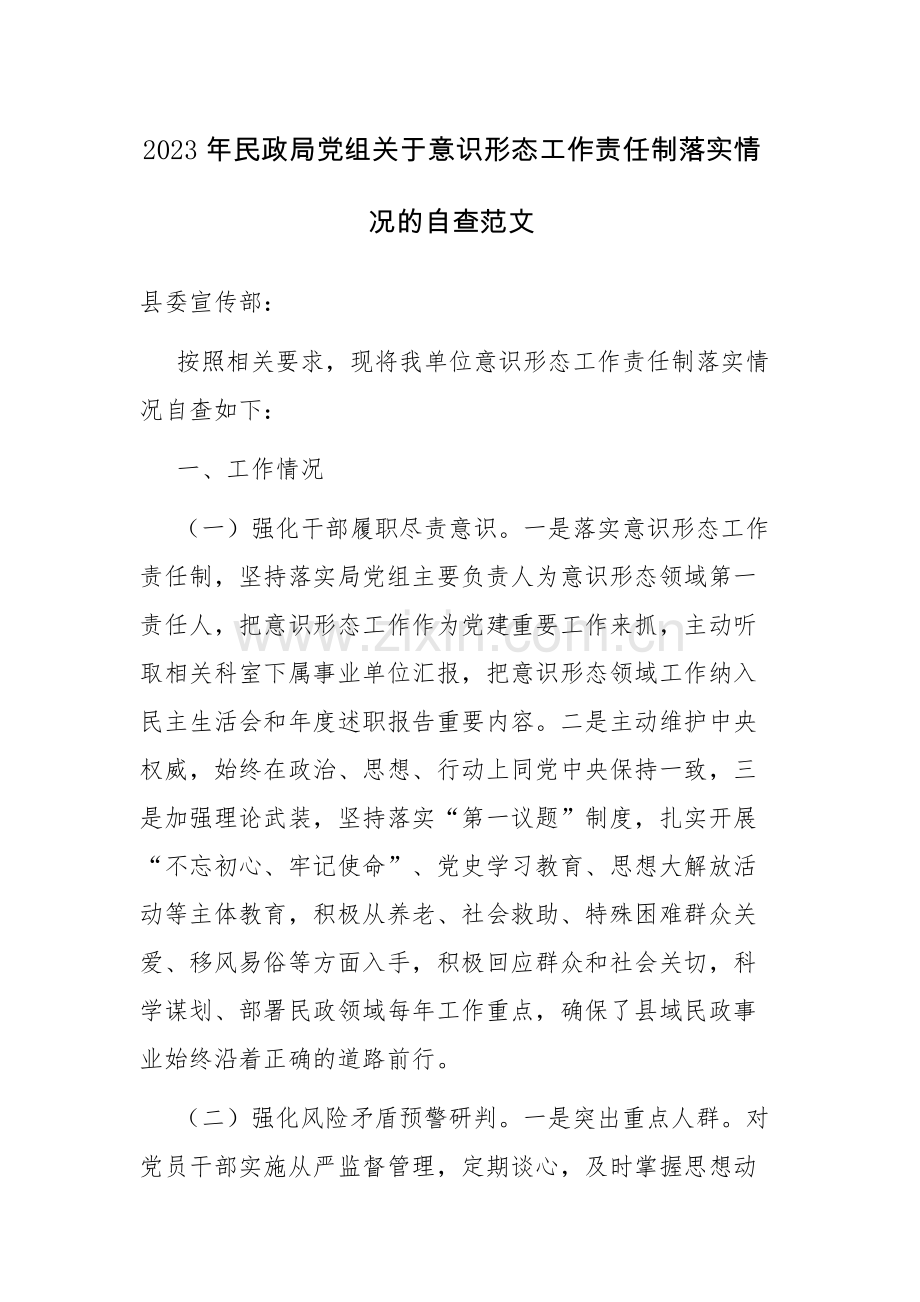 2023年民政局党组关于意识形态工作责任制落实情况的自查范文.docx_第1页