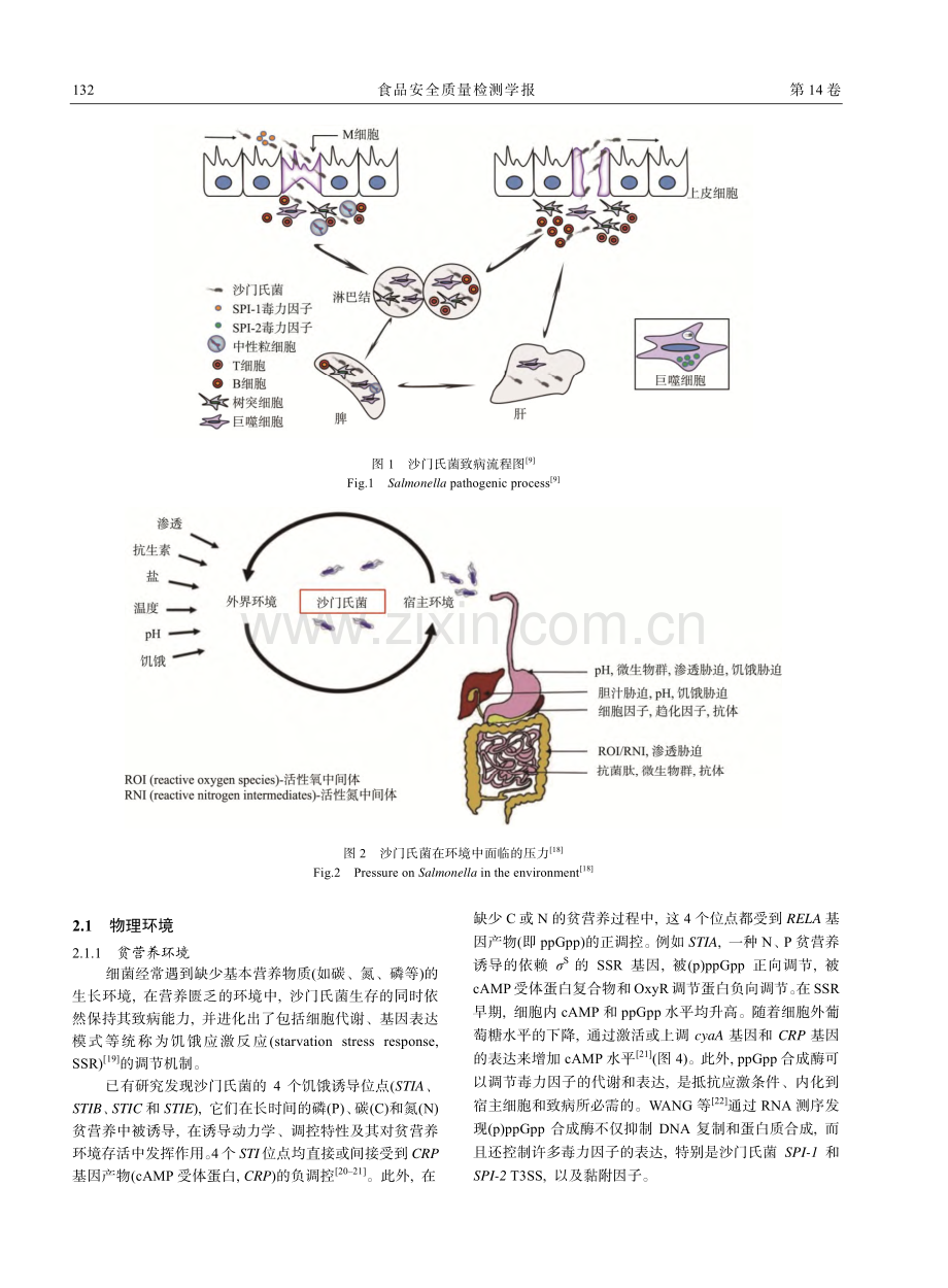 环境胁迫下沙门氏菌应激反应及抗性机制研究进展_郑凡.pdf_第3页