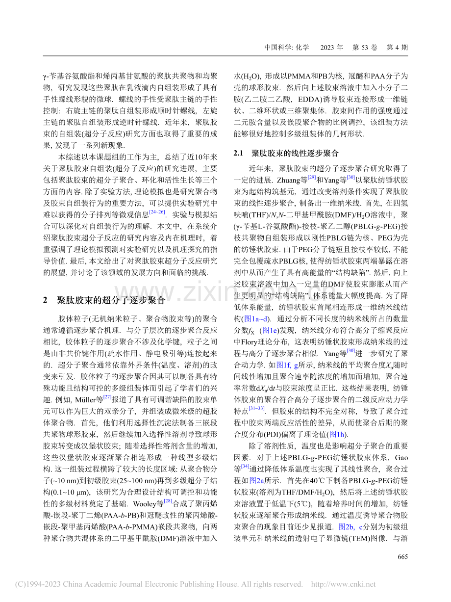 聚肽胶束的超分子反应_聚合、环化及活性生长_周炜东.pdf_第2页