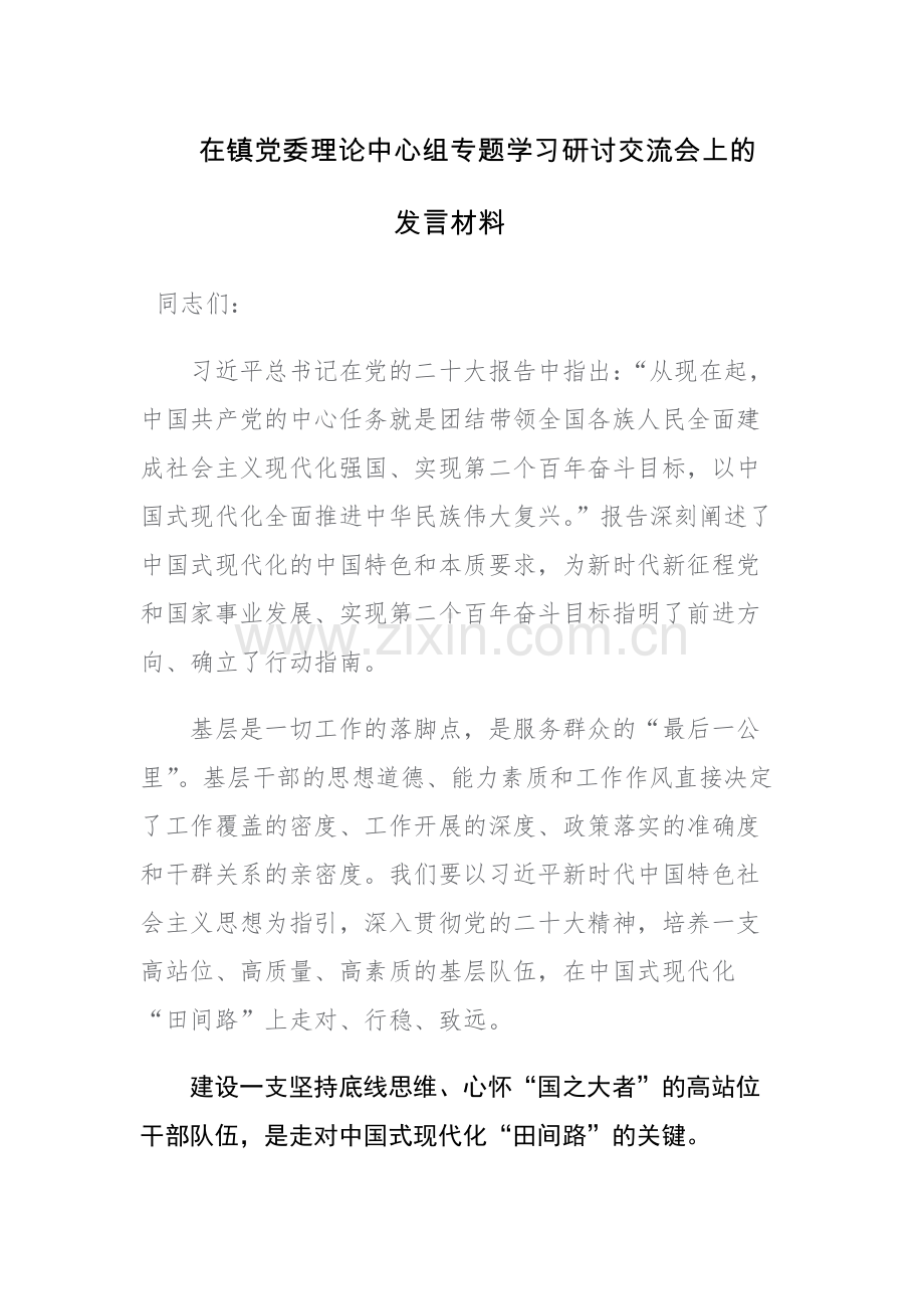 党组织2023年专题学习研讨交流会上的发言材料范文2篇.docx_第1页