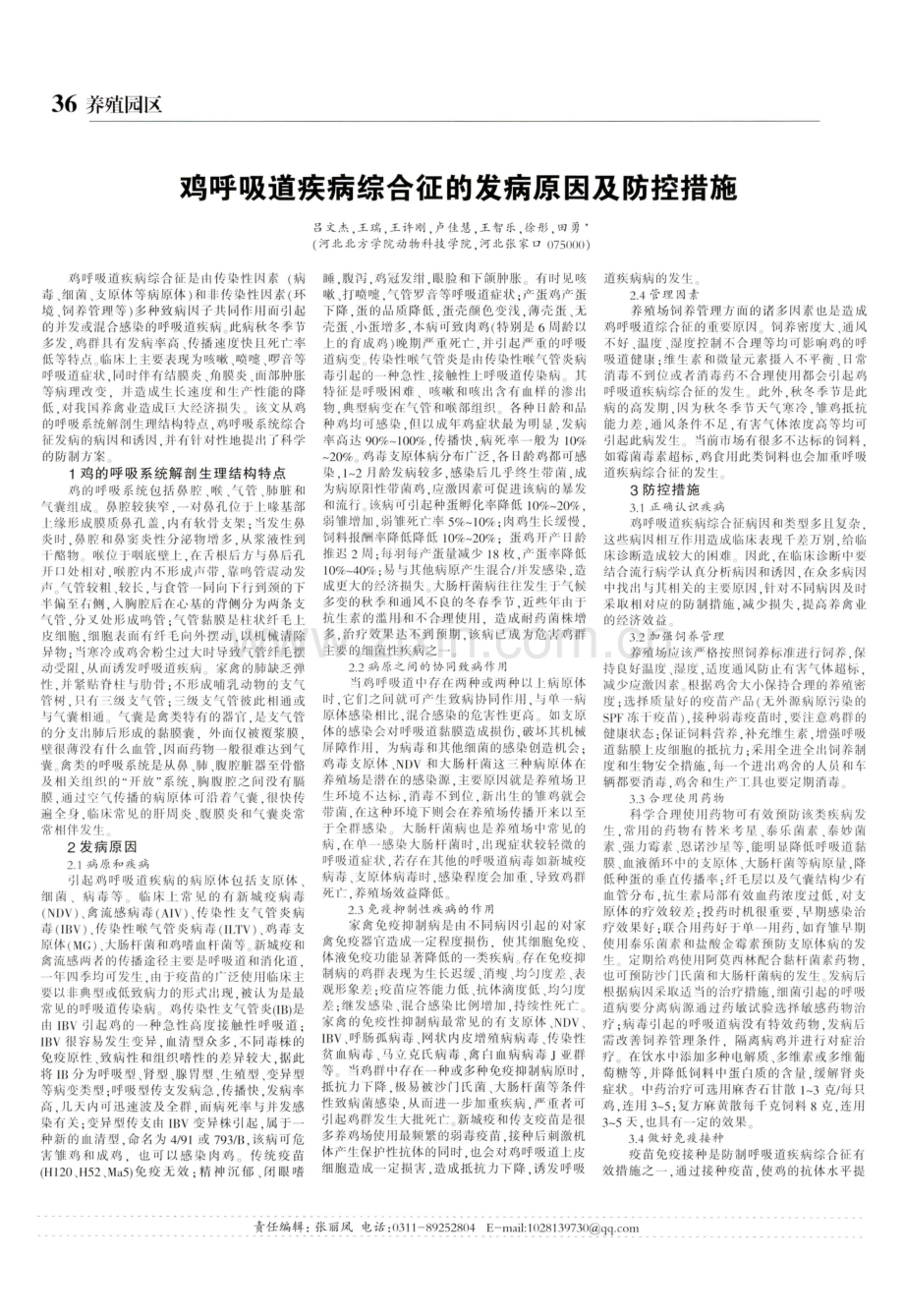 鸡呼吸道疾病综合征的发病原因及防控措施.pdf_第1页