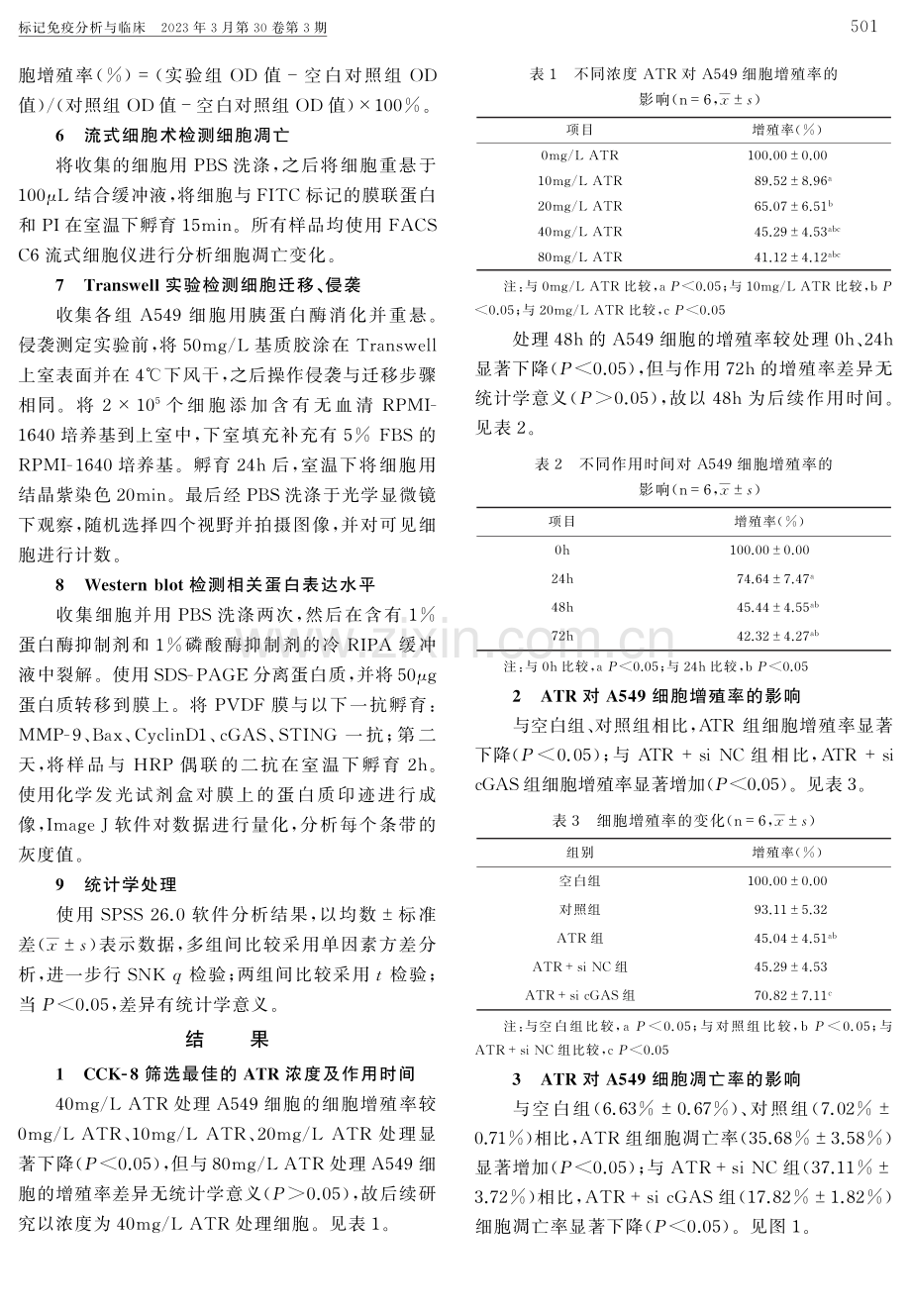 苍术素调节cGAS-STING信号通路介导的免疫反应对肺癌细胞恶性生物学行为的影响.pdf_第3页